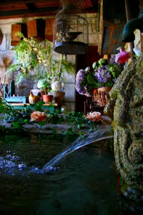 Garden in Quinta de Valverde