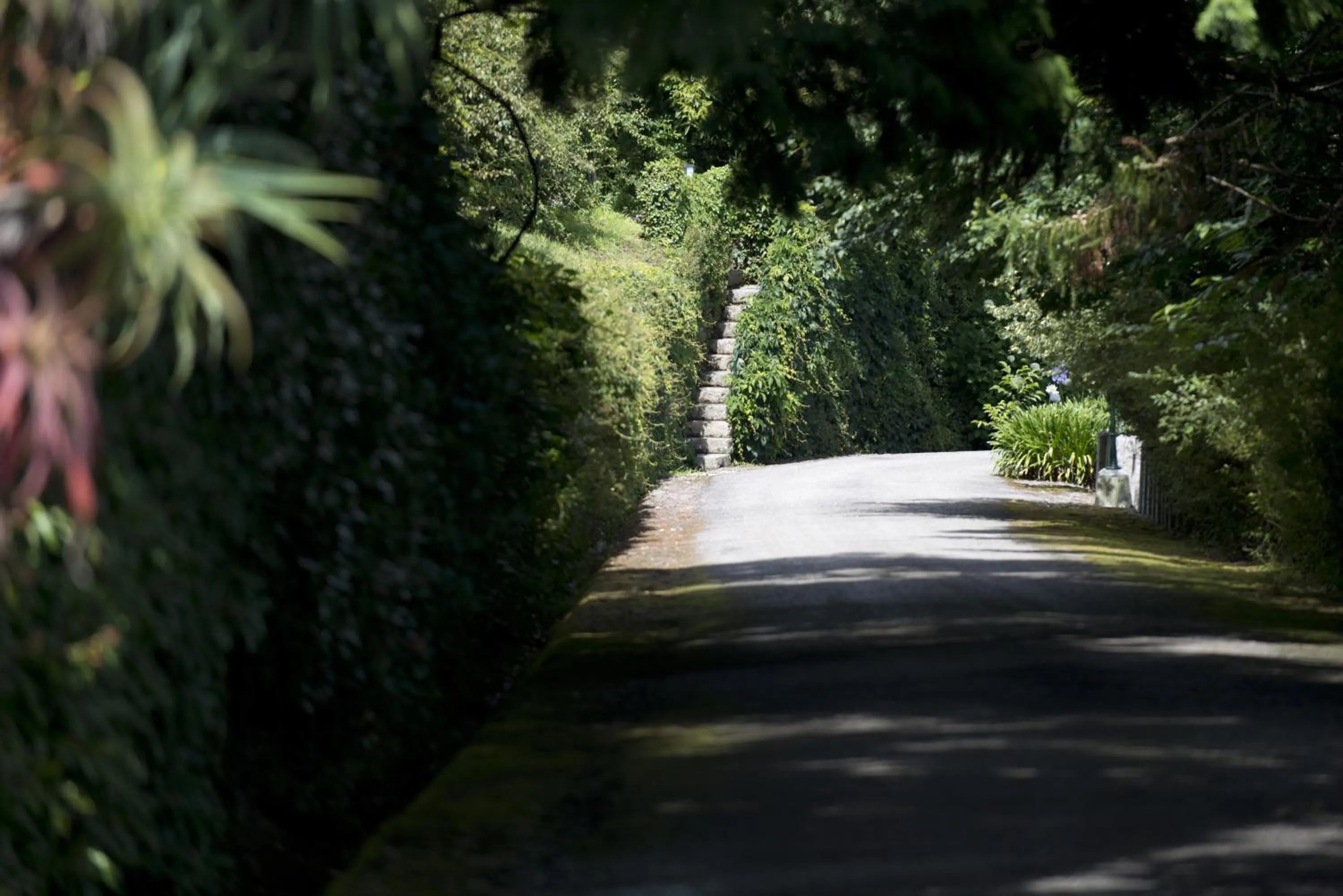 Garden in Quinta de Valverde