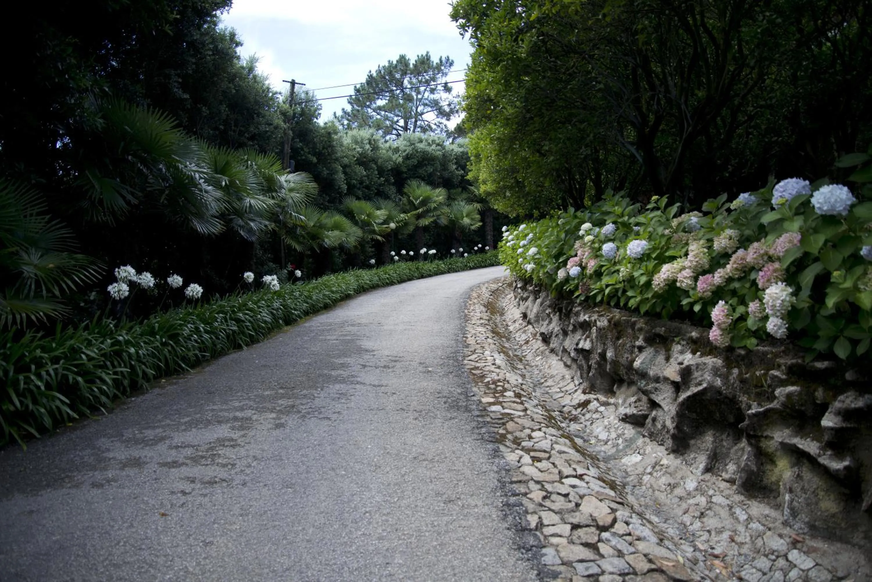 Garden in Quinta de Valverde