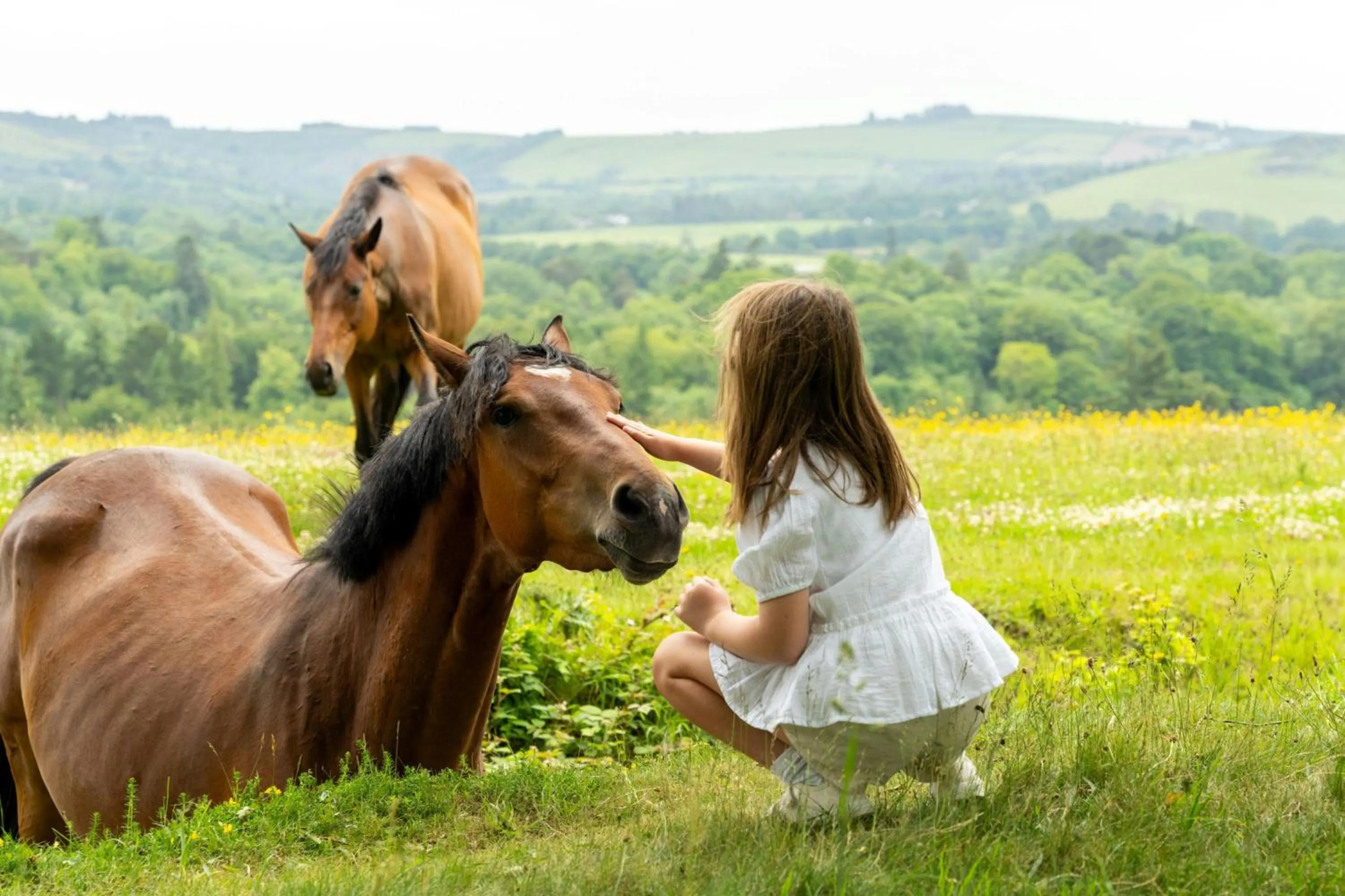 Other in Powerscourt Hotel, Autograph Collection