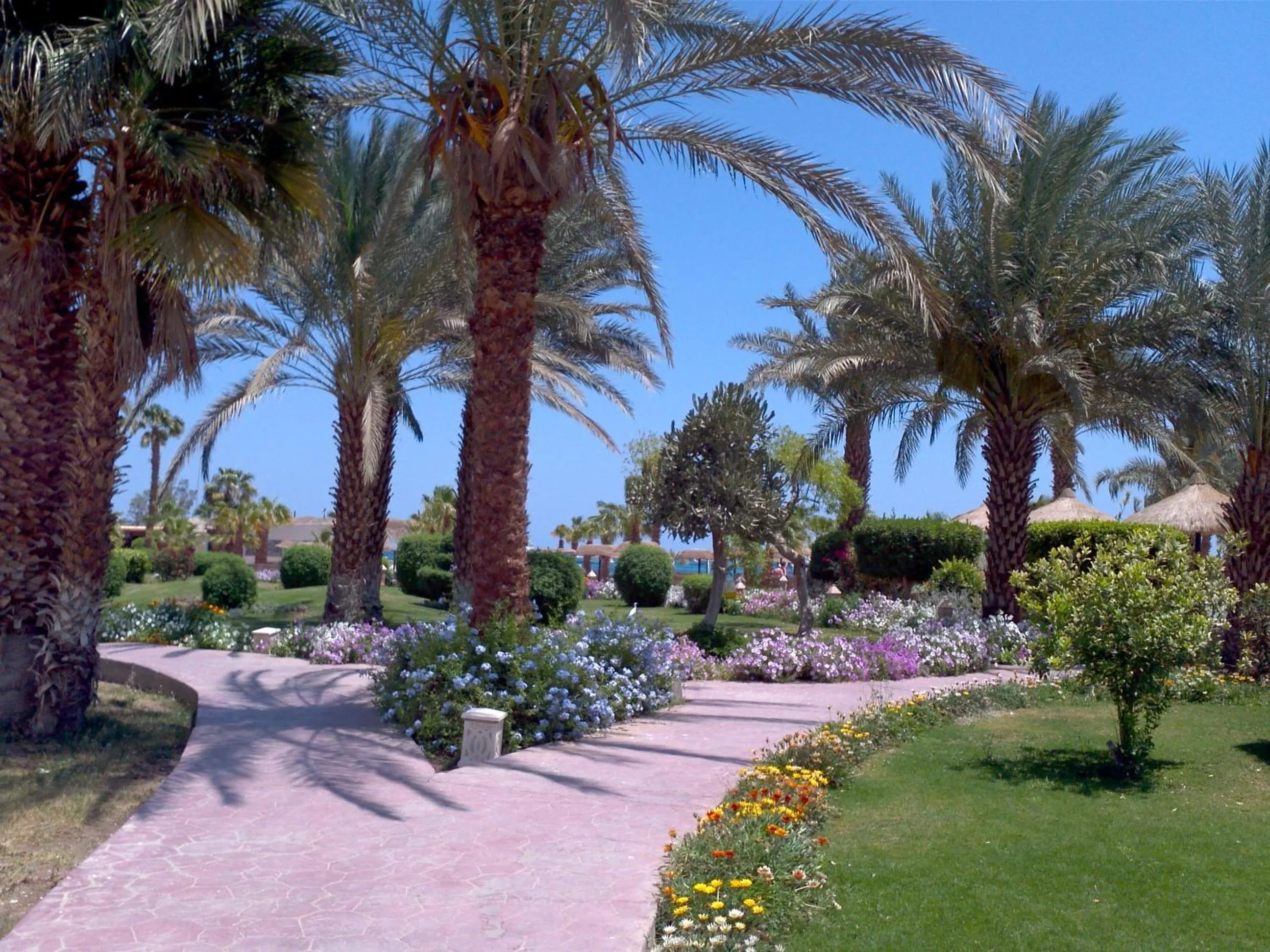 Garden in Lotus Bay Resort