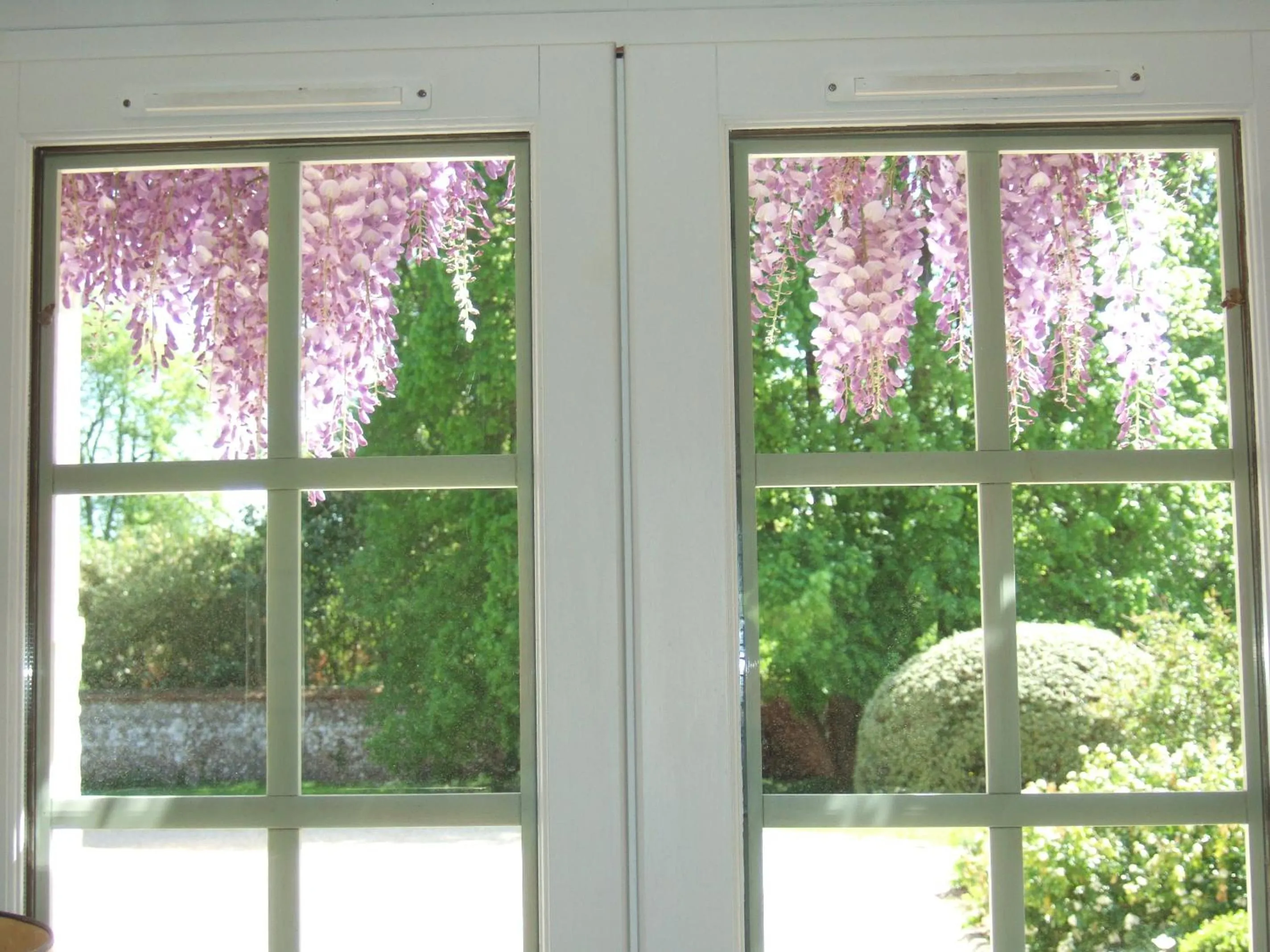 Garden in Gite et Chambres d'Hôtes Clos de Mondetour