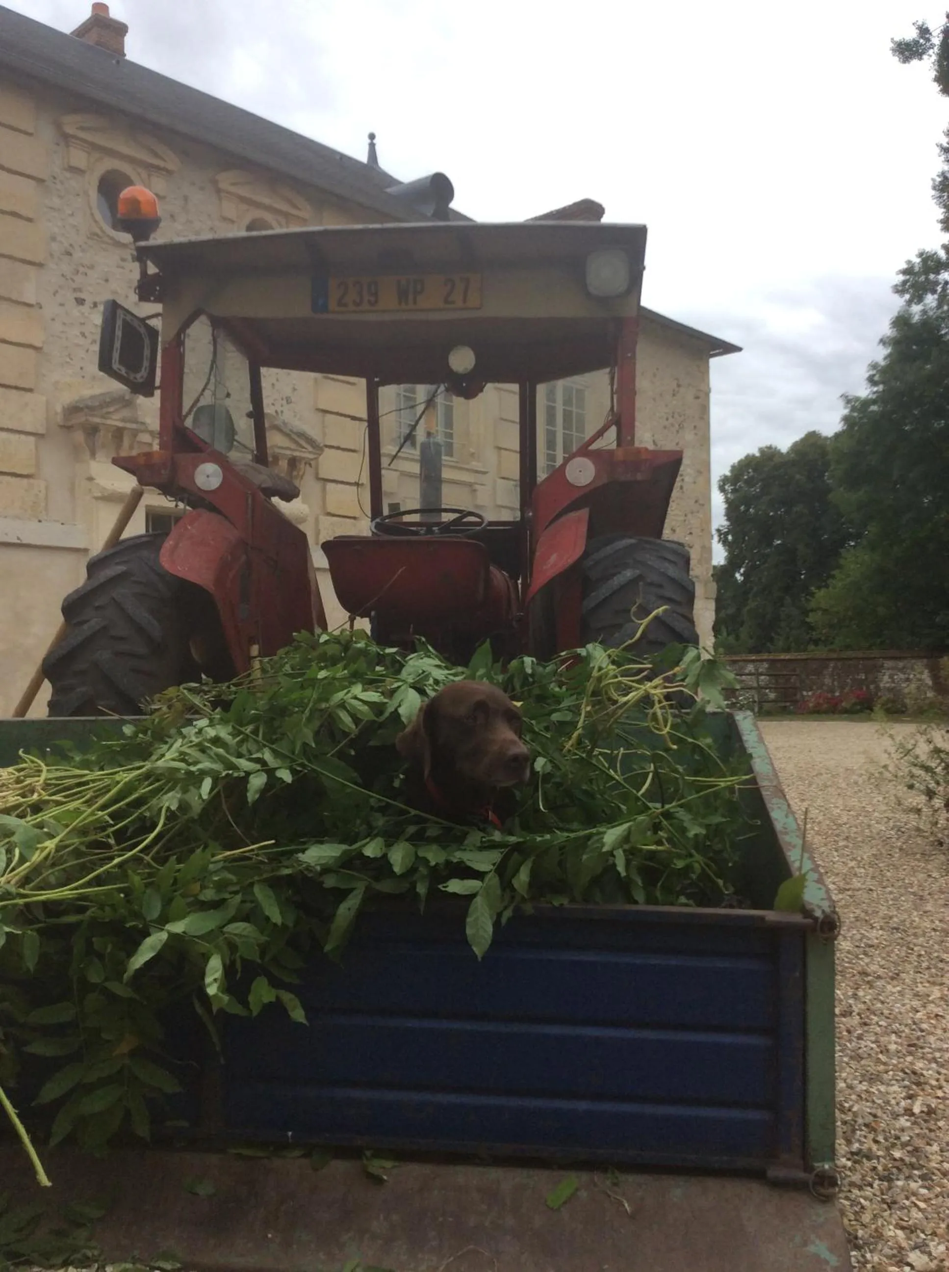 Day in Gite et Chambres d'Hôtes Clos de Mondetour