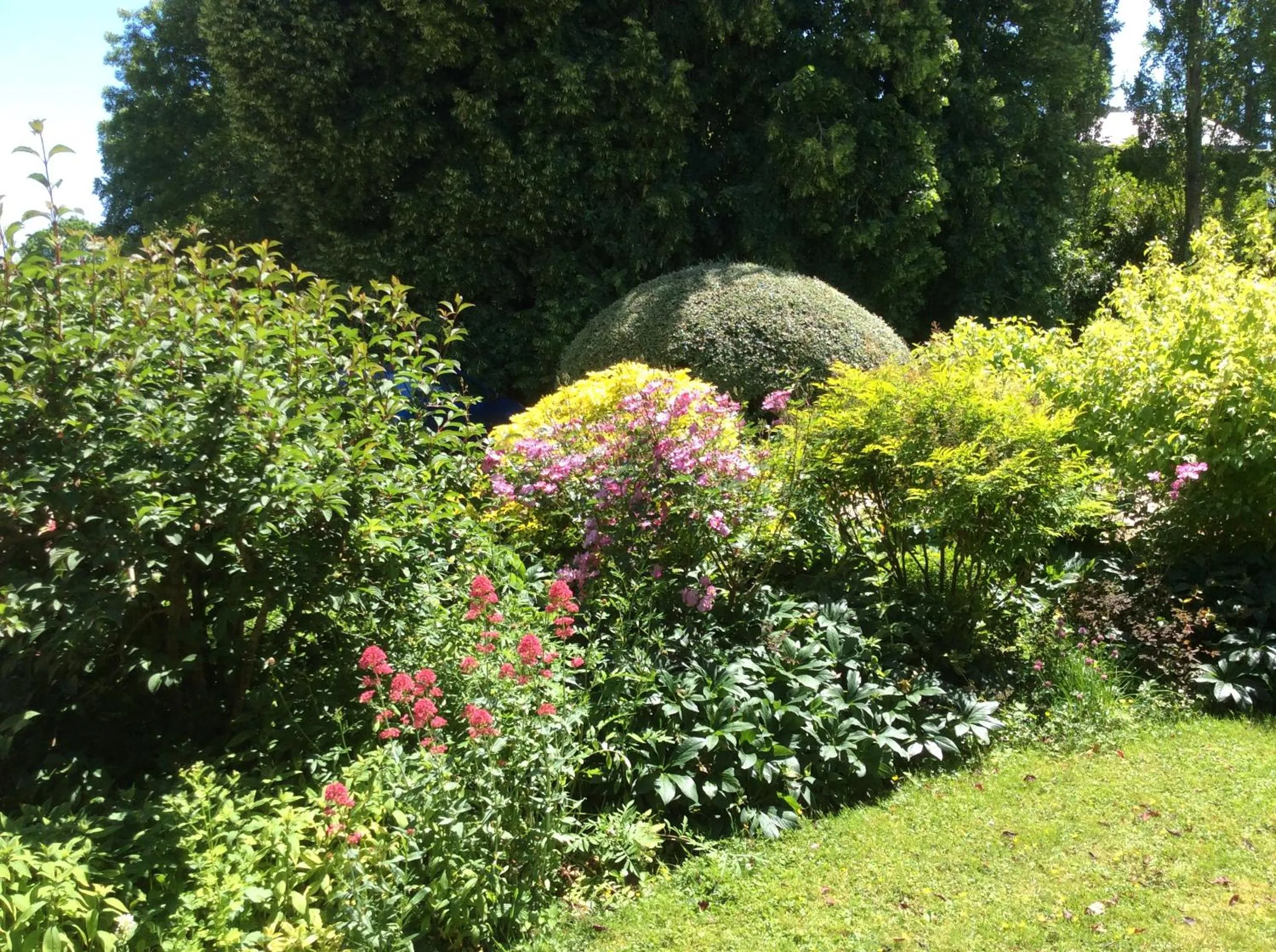 Garden in Gite et Chambres d'Hôtes Clos de Mondetour