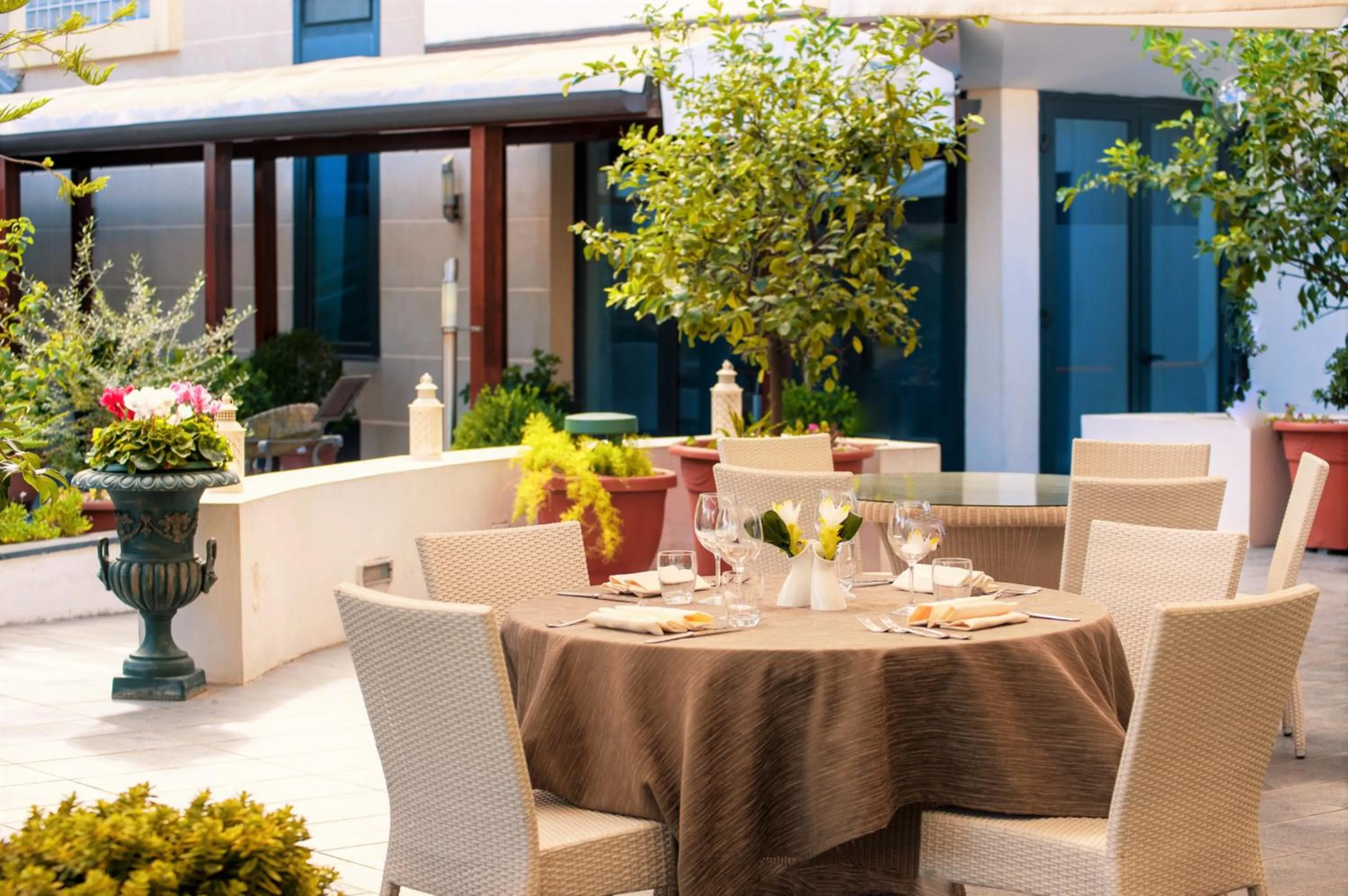 Restaurant/places to eat in Hotel Tiempo