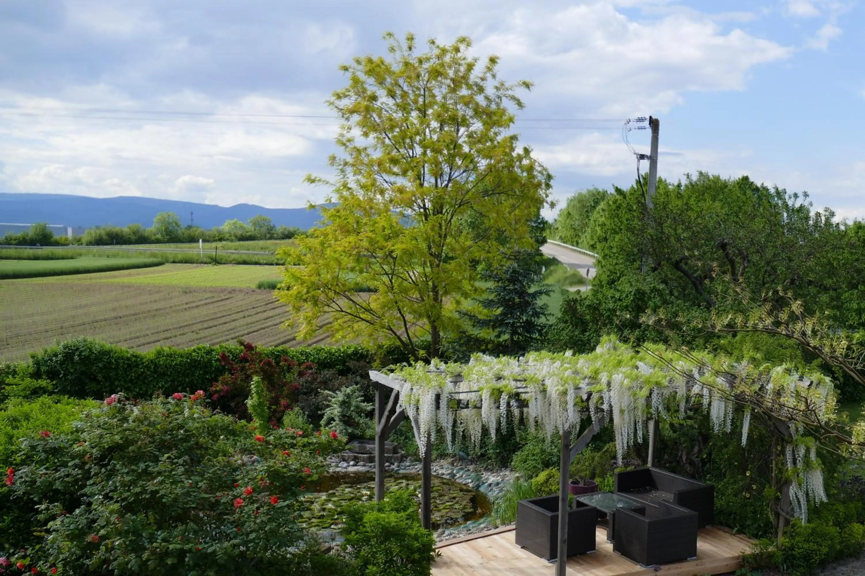 Garden in Au Relais de l'Ill