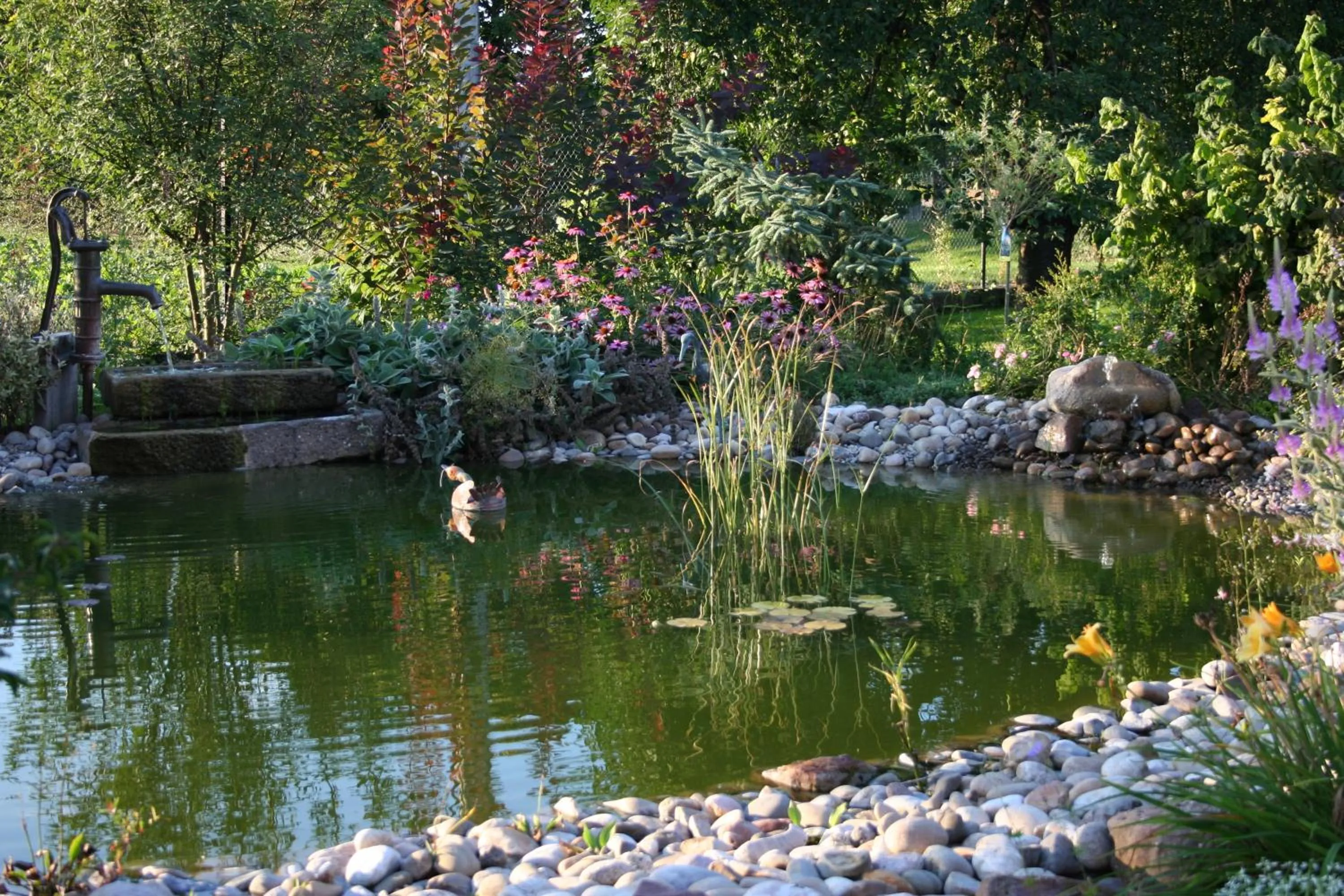 Garden in Au Relais de l'Ill