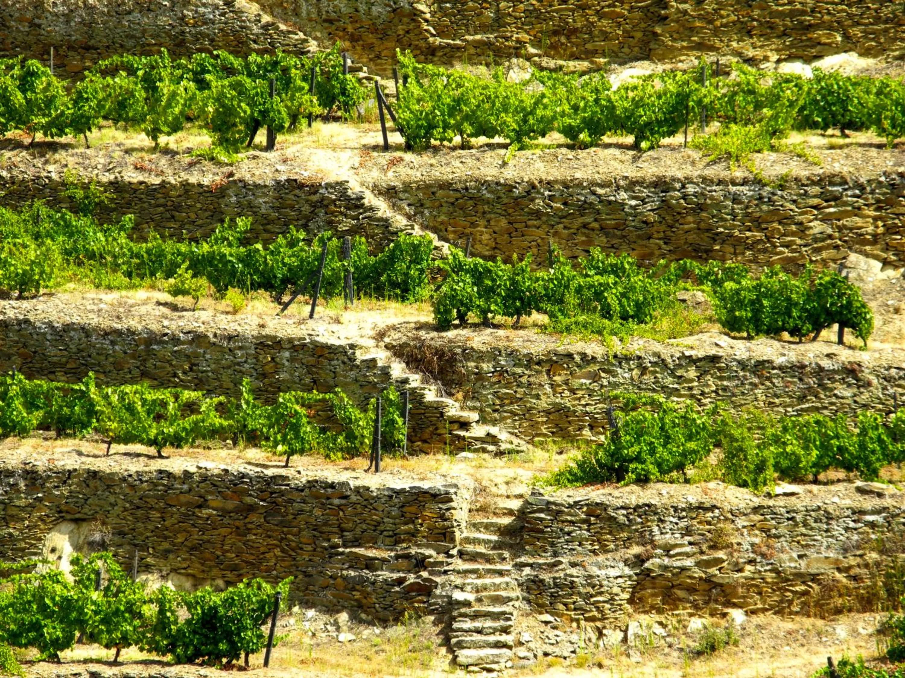 Day in Hotel Rural da Quinta do Silval