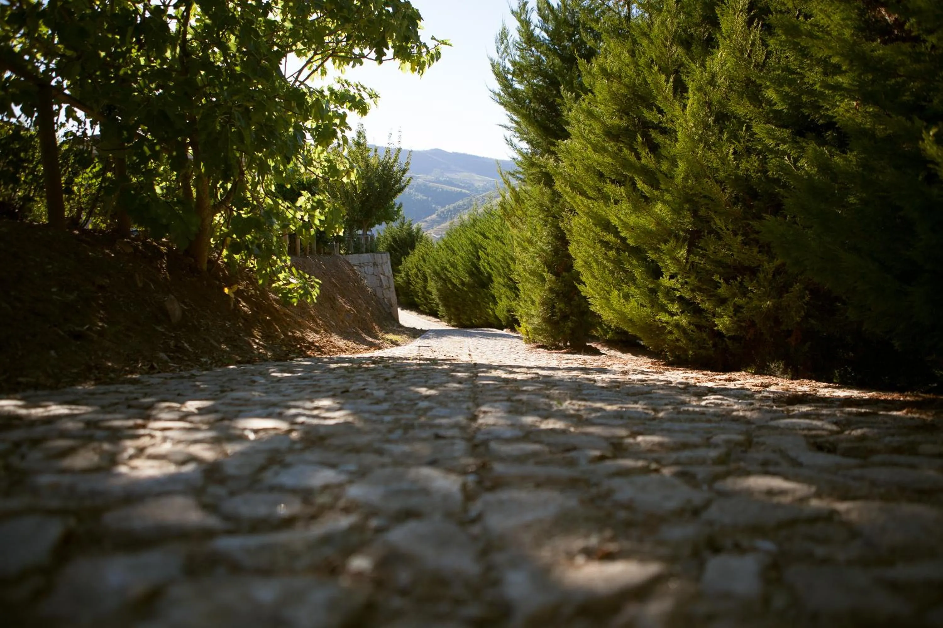 Day in Hotel Rural da Quinta do Silval