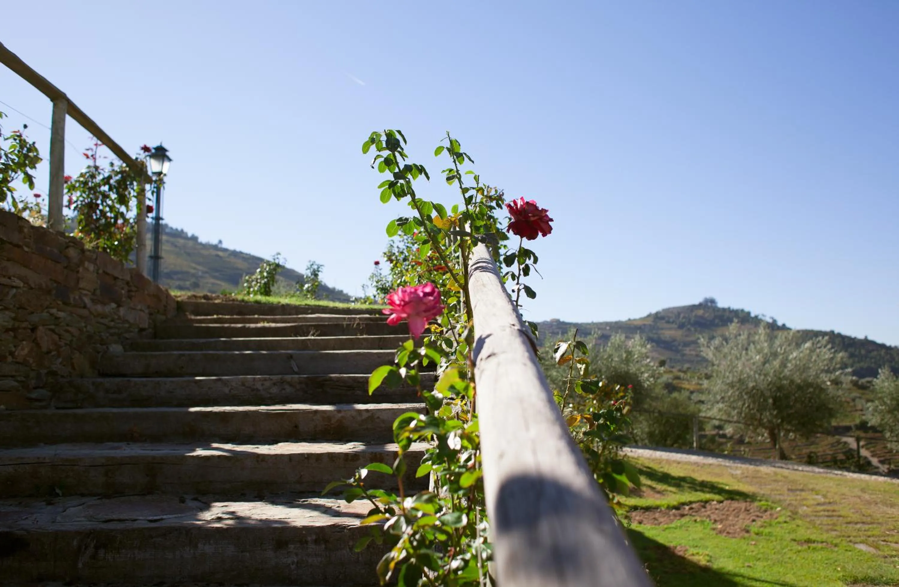 Spring in Hotel Rural da Quinta do Silval
