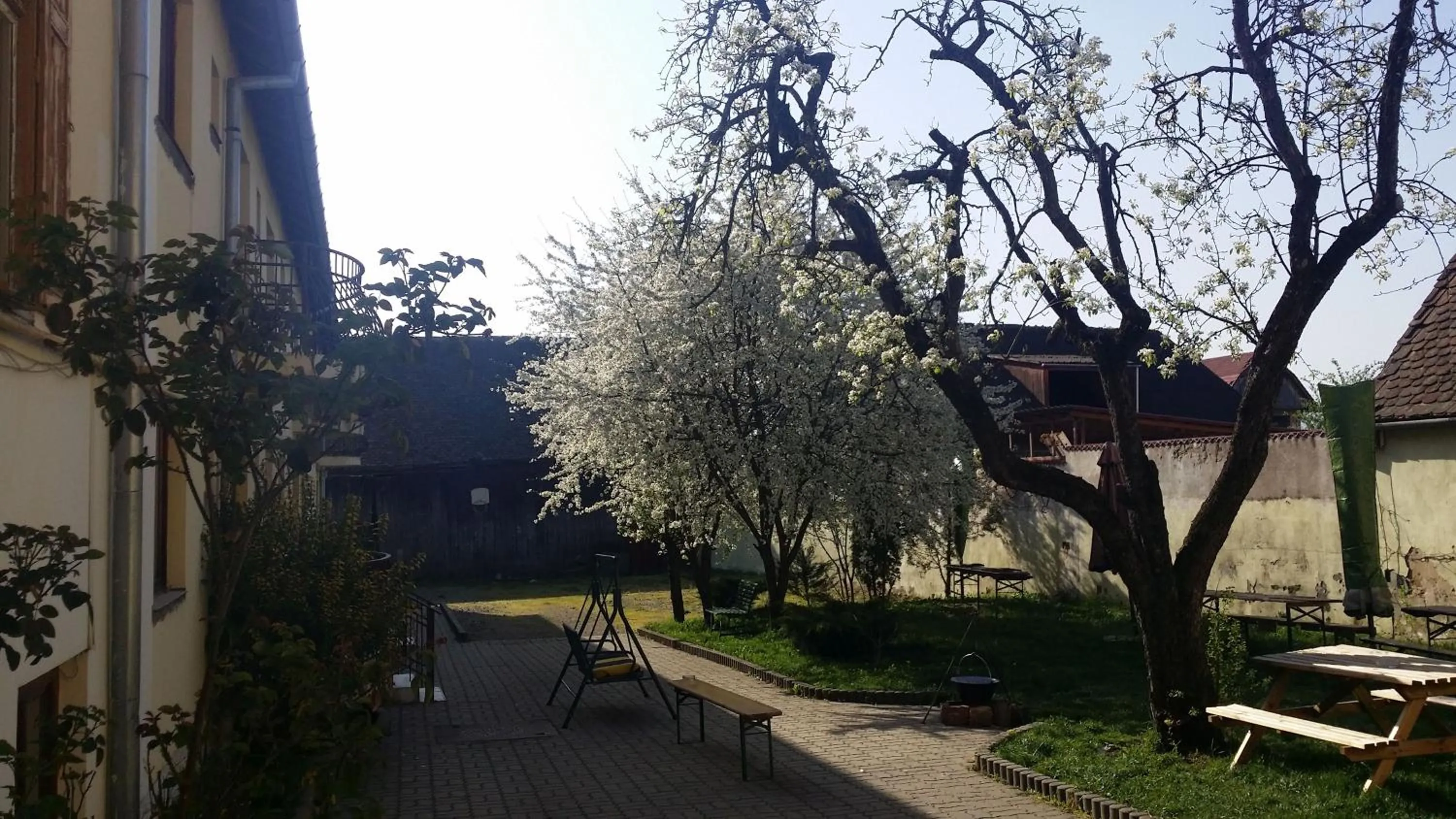 Garden in Pension GreenHouse