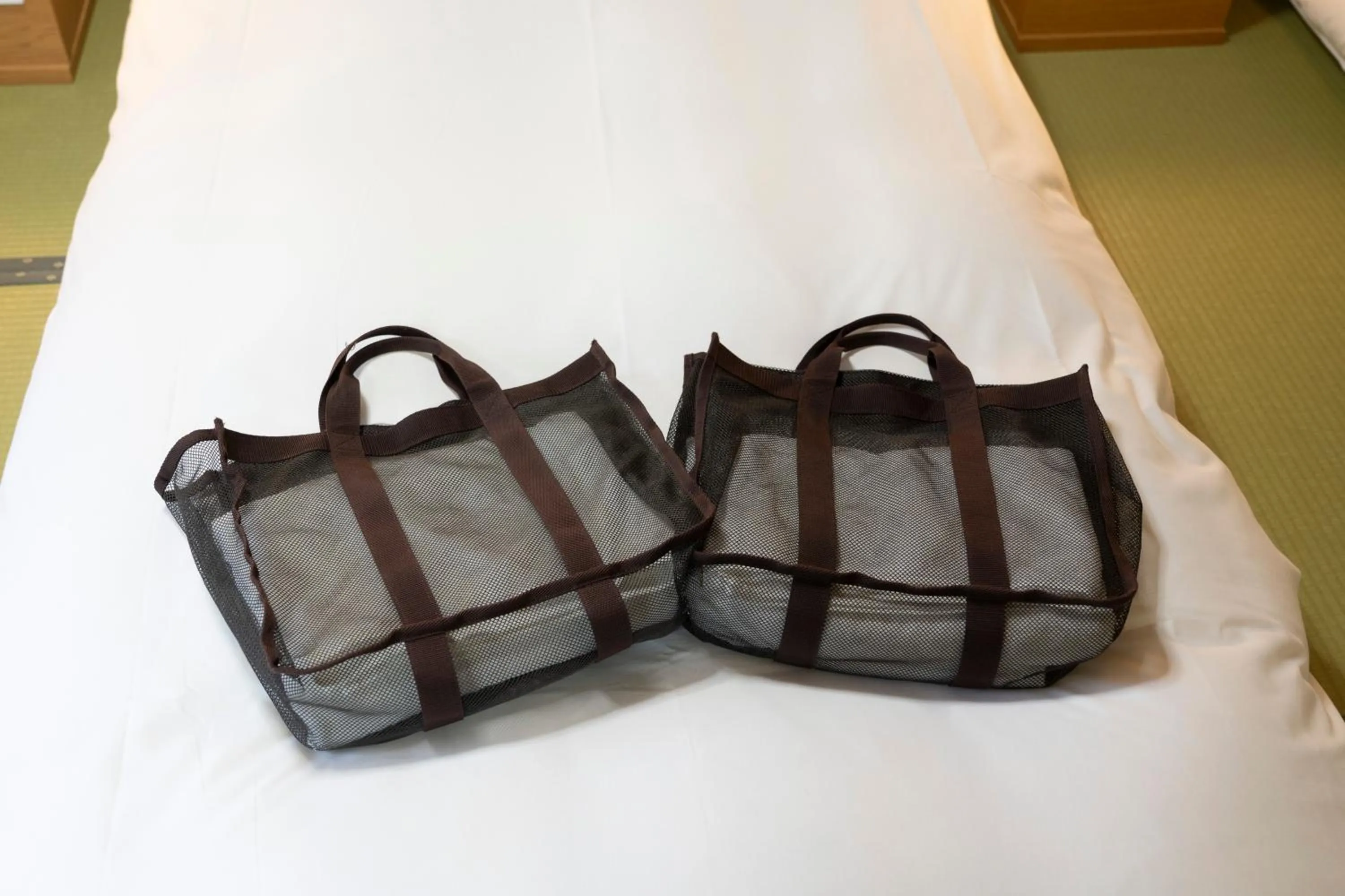 Photo of the whole room in Hirayukan