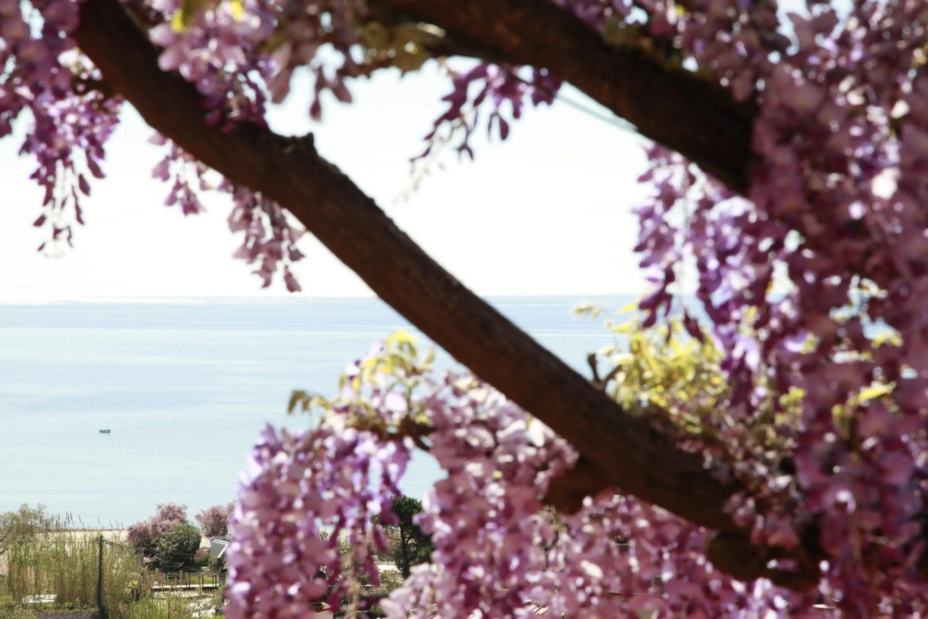 Property building in Hotel Galli - Wellness & Spa