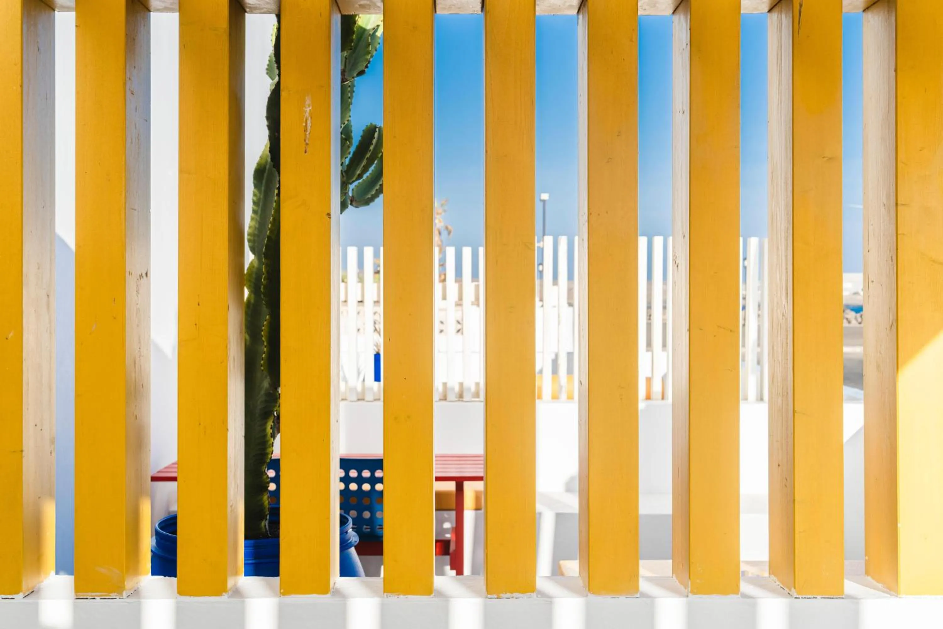 Decorative detail in Buendía Corralejo Nohotel