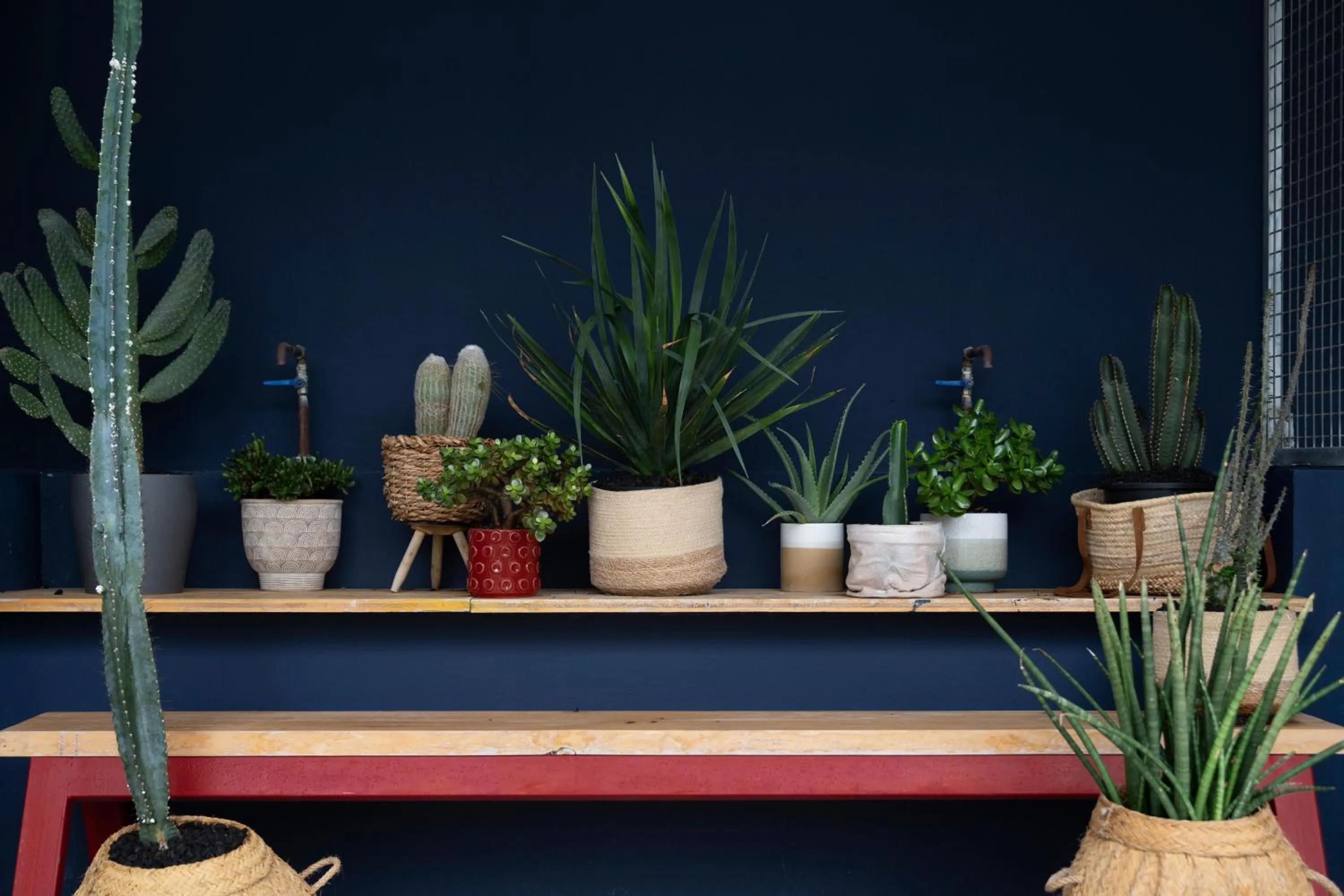 Balcony/Terrace in Buendía Corralejo Nohotel