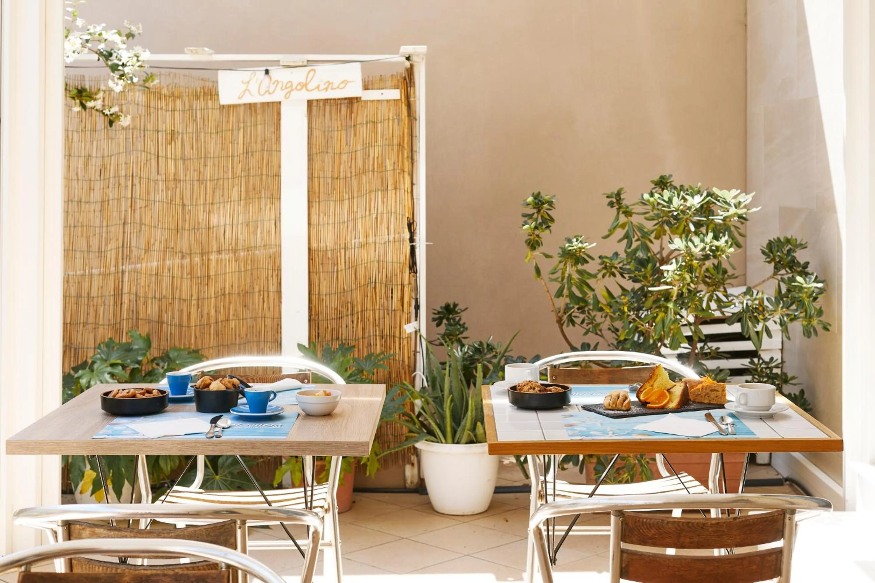 Garden in Hotel Letizia