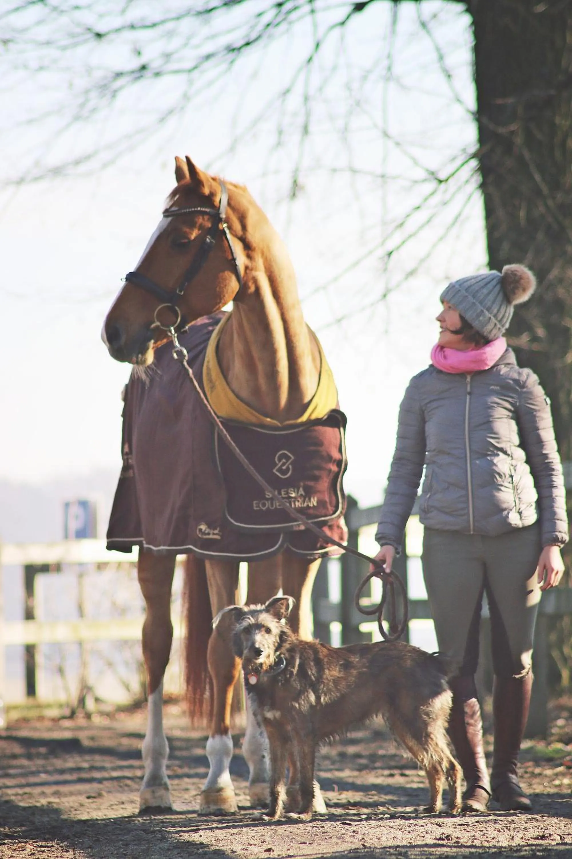 Animals in Hotel Jakubus