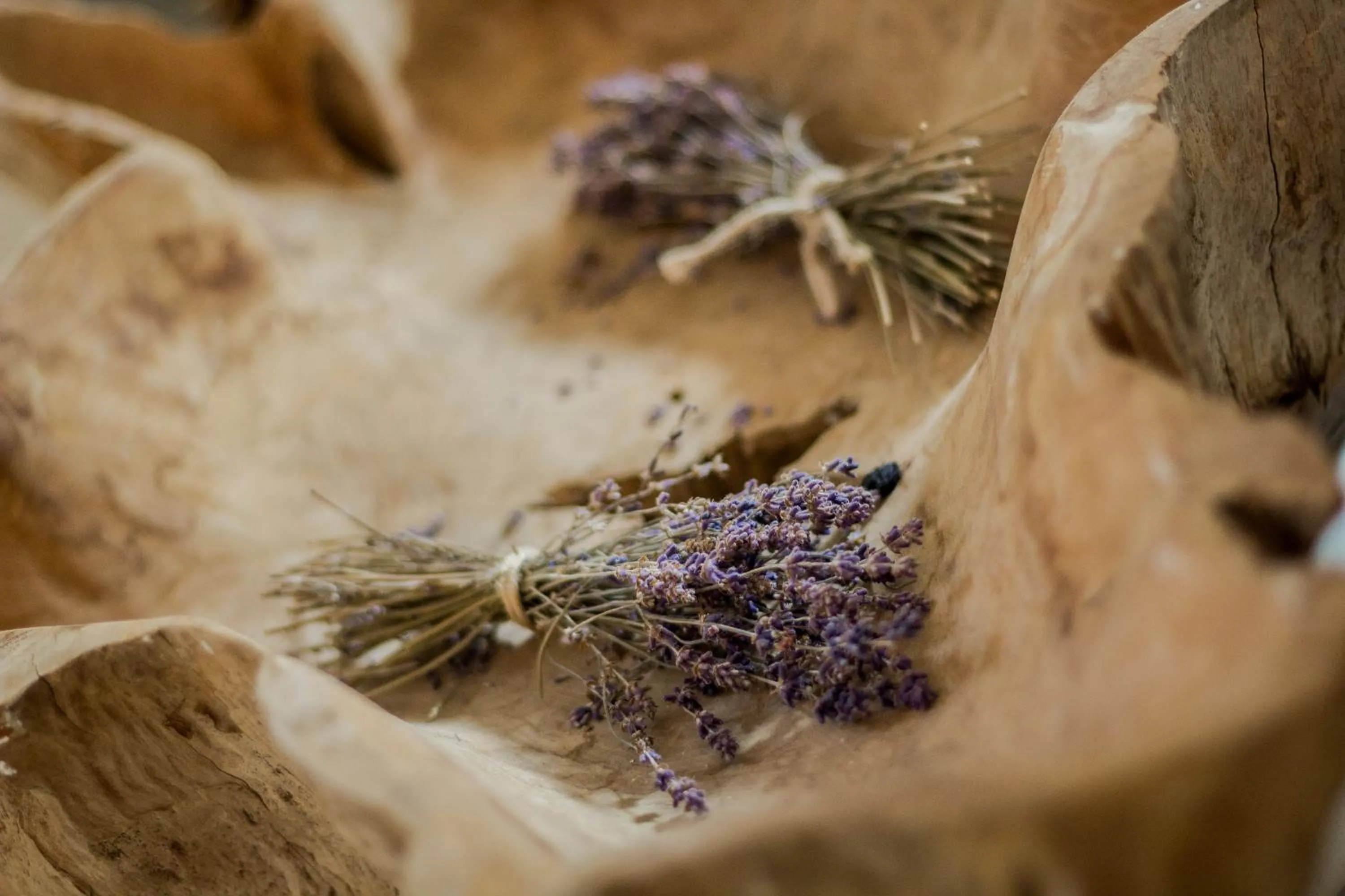 Seasons in Hotel Jakubus