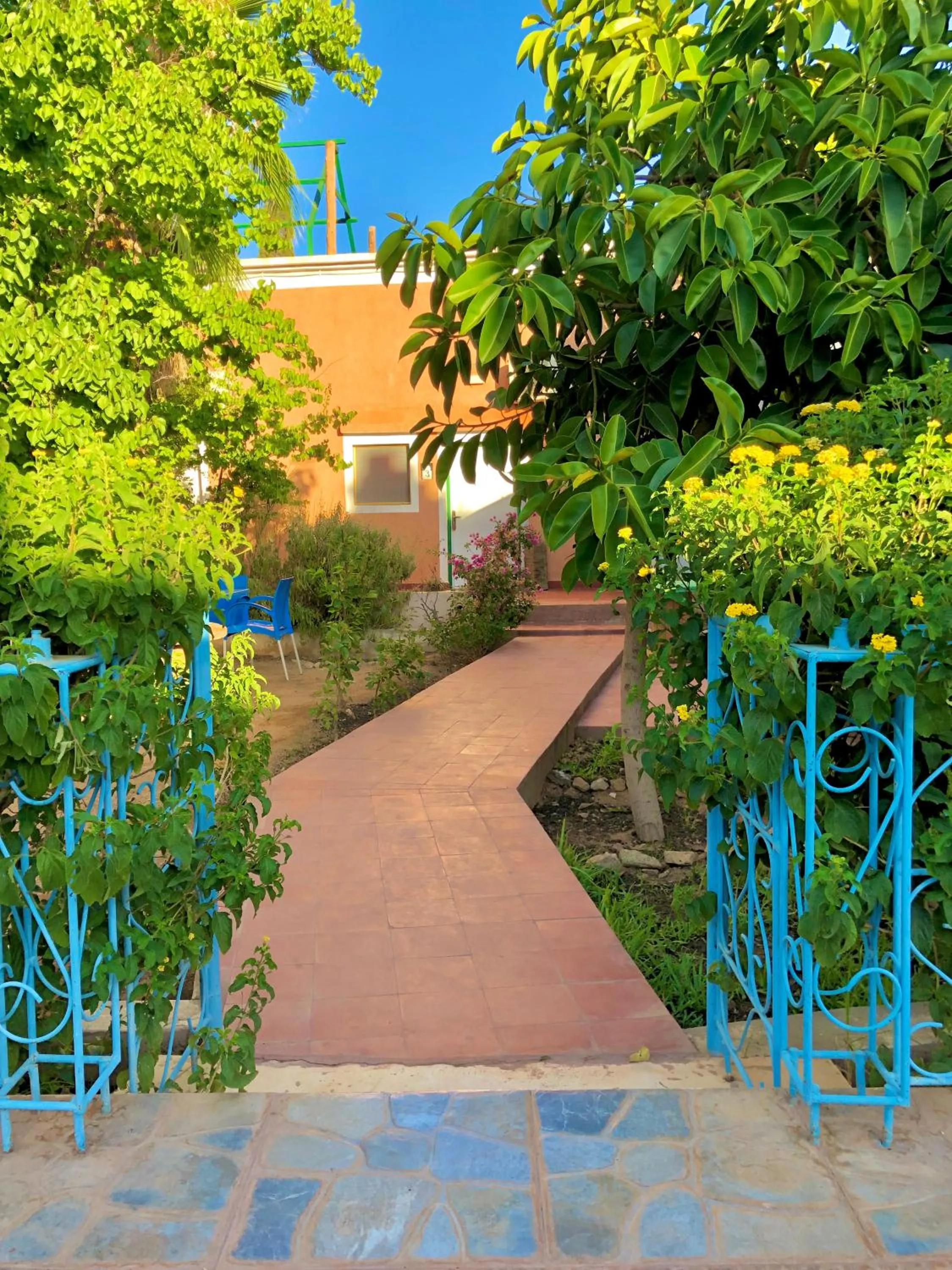 Garden in Hotel L'Arganier d'Ammelne