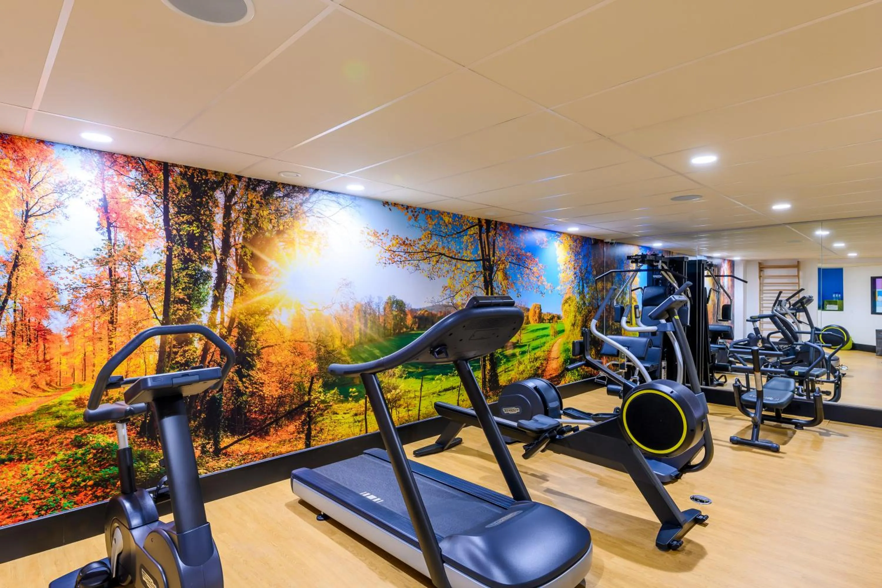 Fitness centre/facilities in Kyriad Prestige Amiens Poulainville - Hotel and Spa