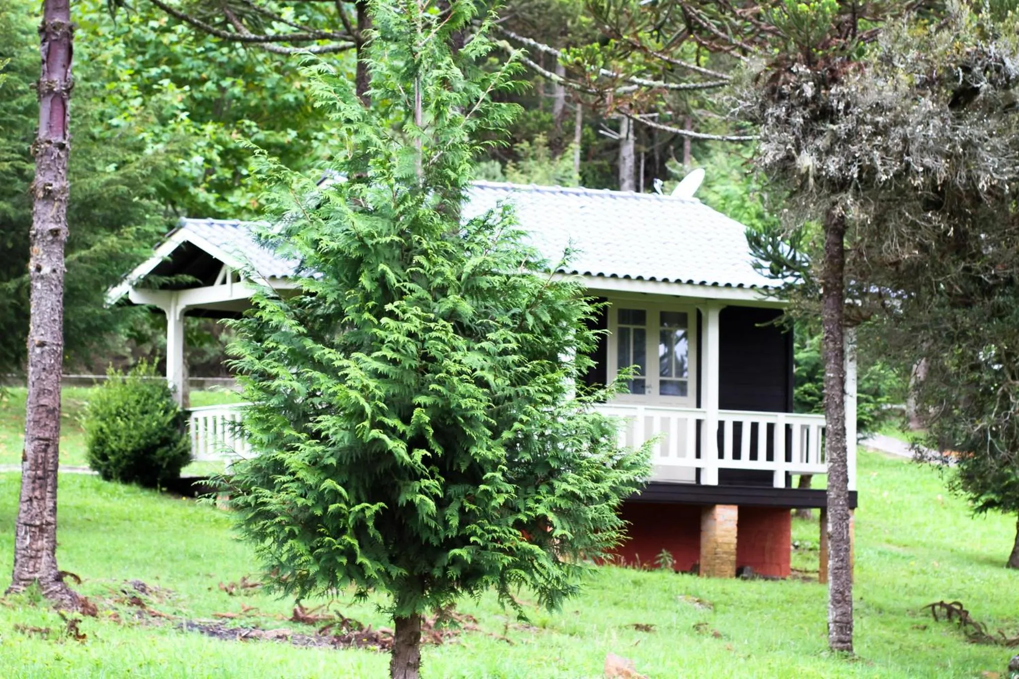 Spa and wellness centre/facilities in Pousada Pedra Preta