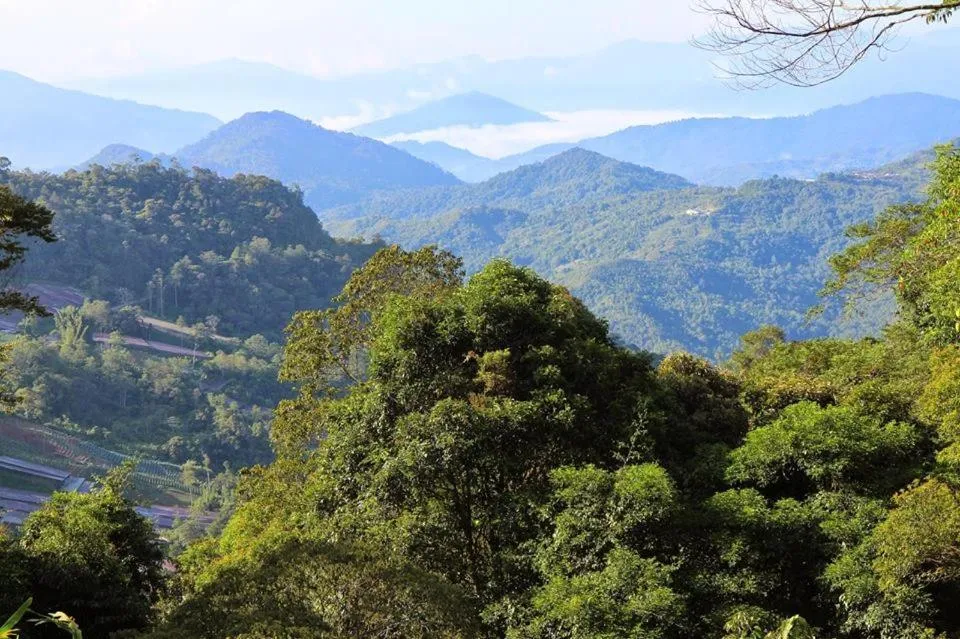 Property building in J Residence