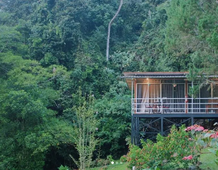 Garden view in J Residence