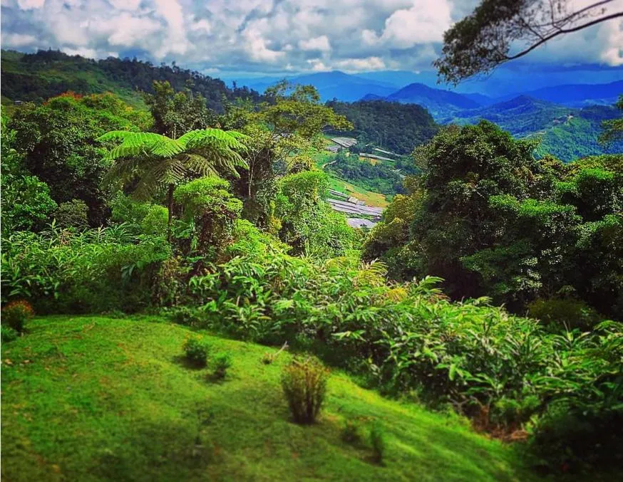 Natural landscape in J Residence