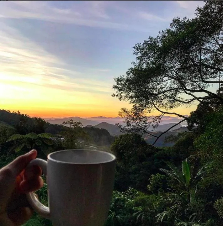 Garden view in J Residence