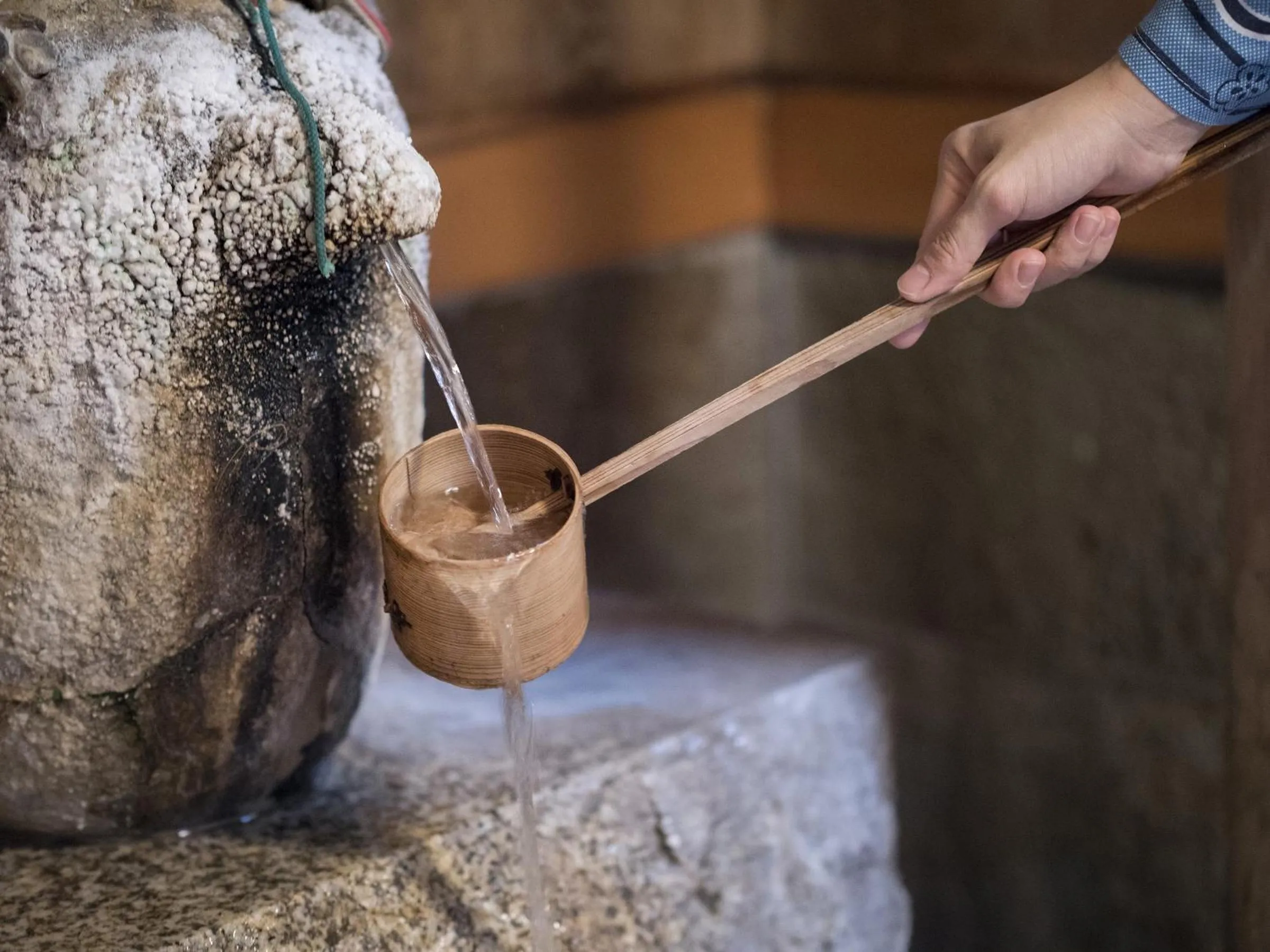 Area and facilities in Shima-Onsen Toshimaya