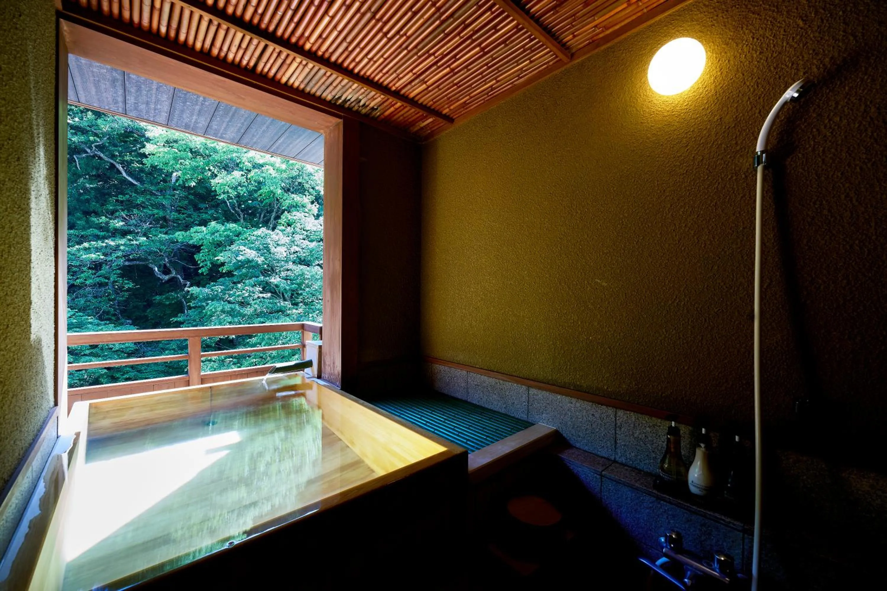 Hot Spring Bath in Shima-Onsen Toshimaya