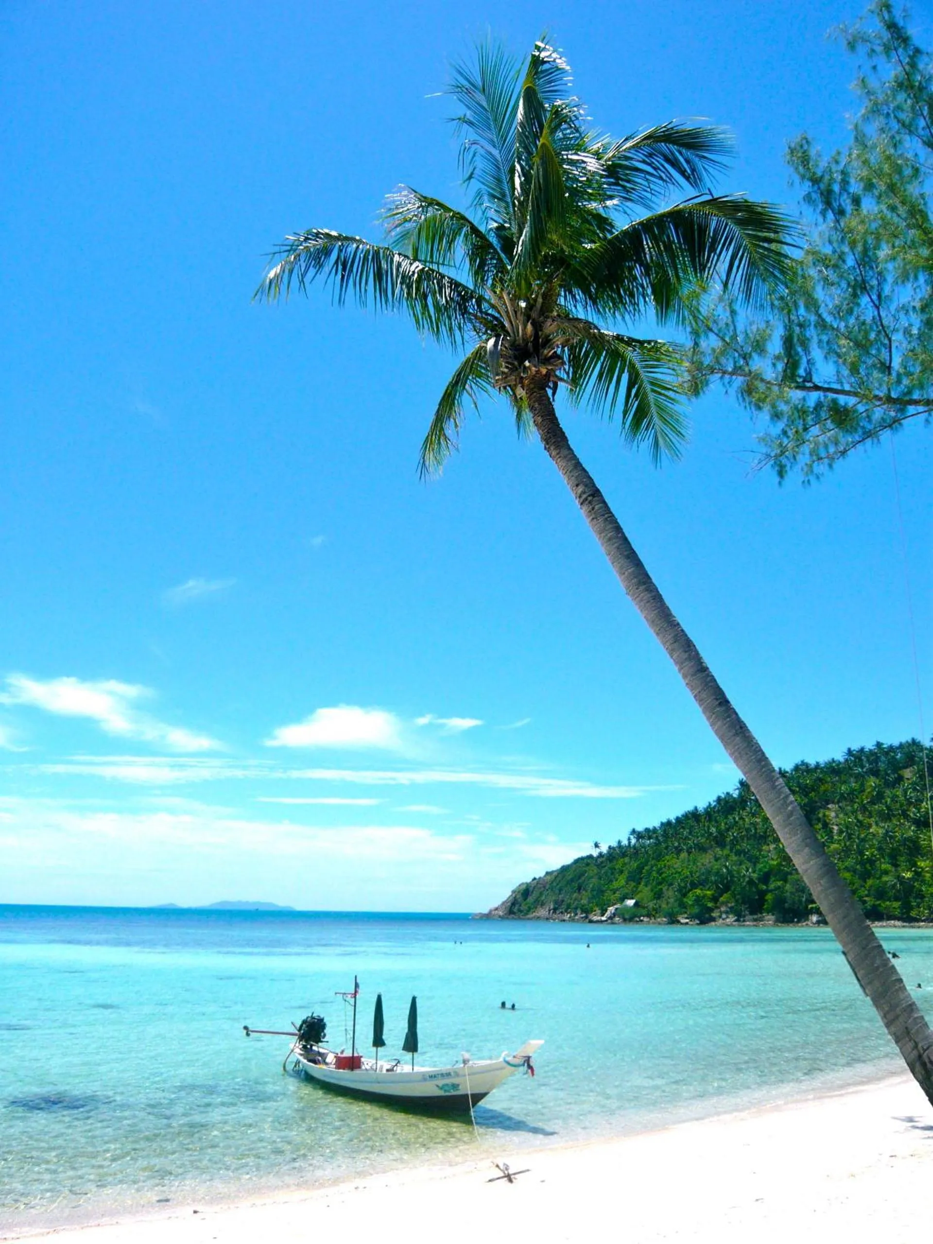 View (from property/room) in Salad Hut