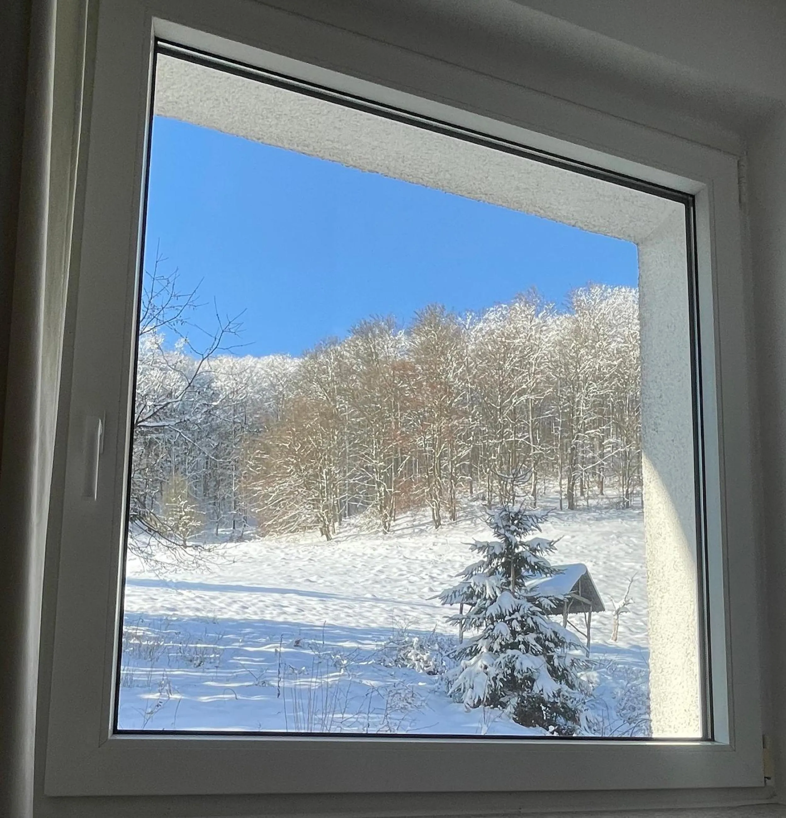 View (from property/room) in AM BERG Hotel