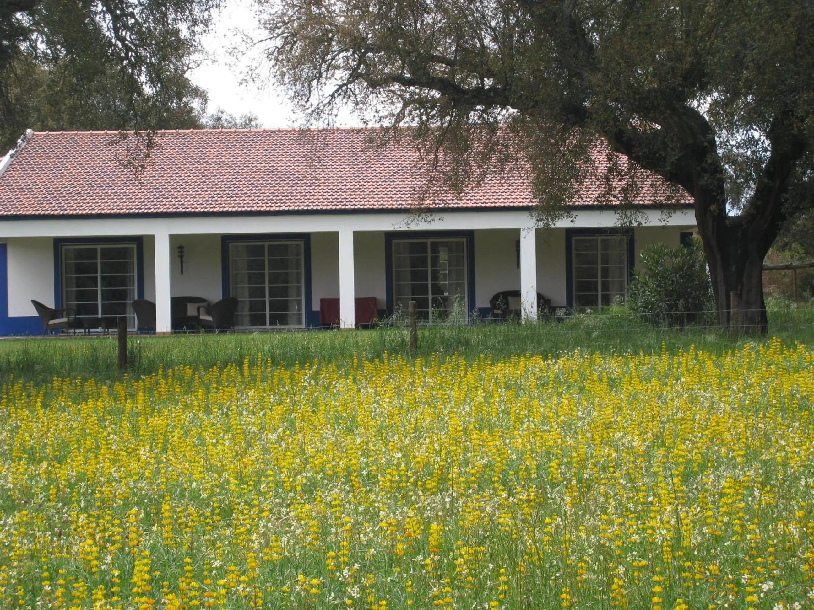 Property building in Monte das Faias Cork Farm Hotel