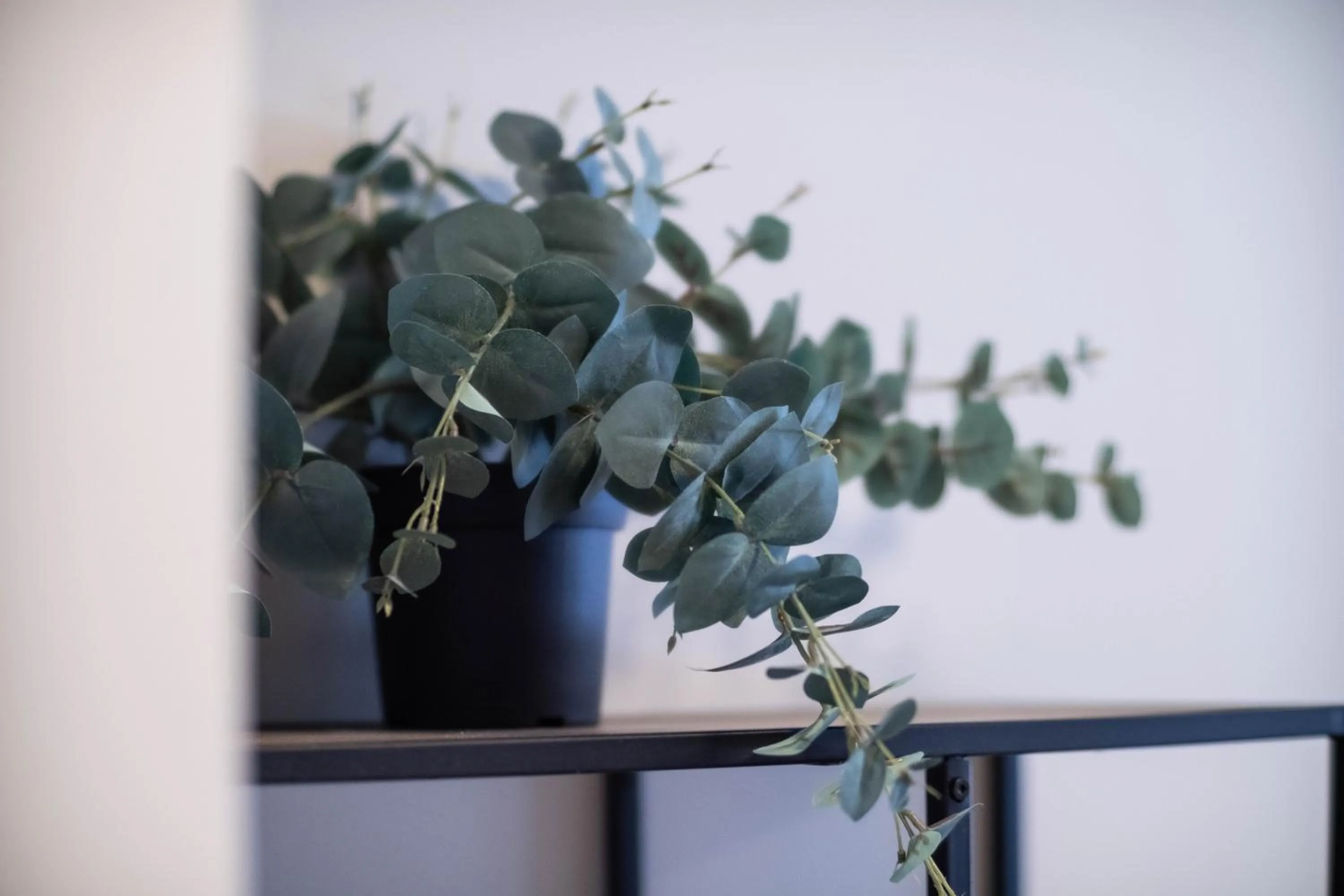 Decorative detail in Anker Apartment – Grünerløkka