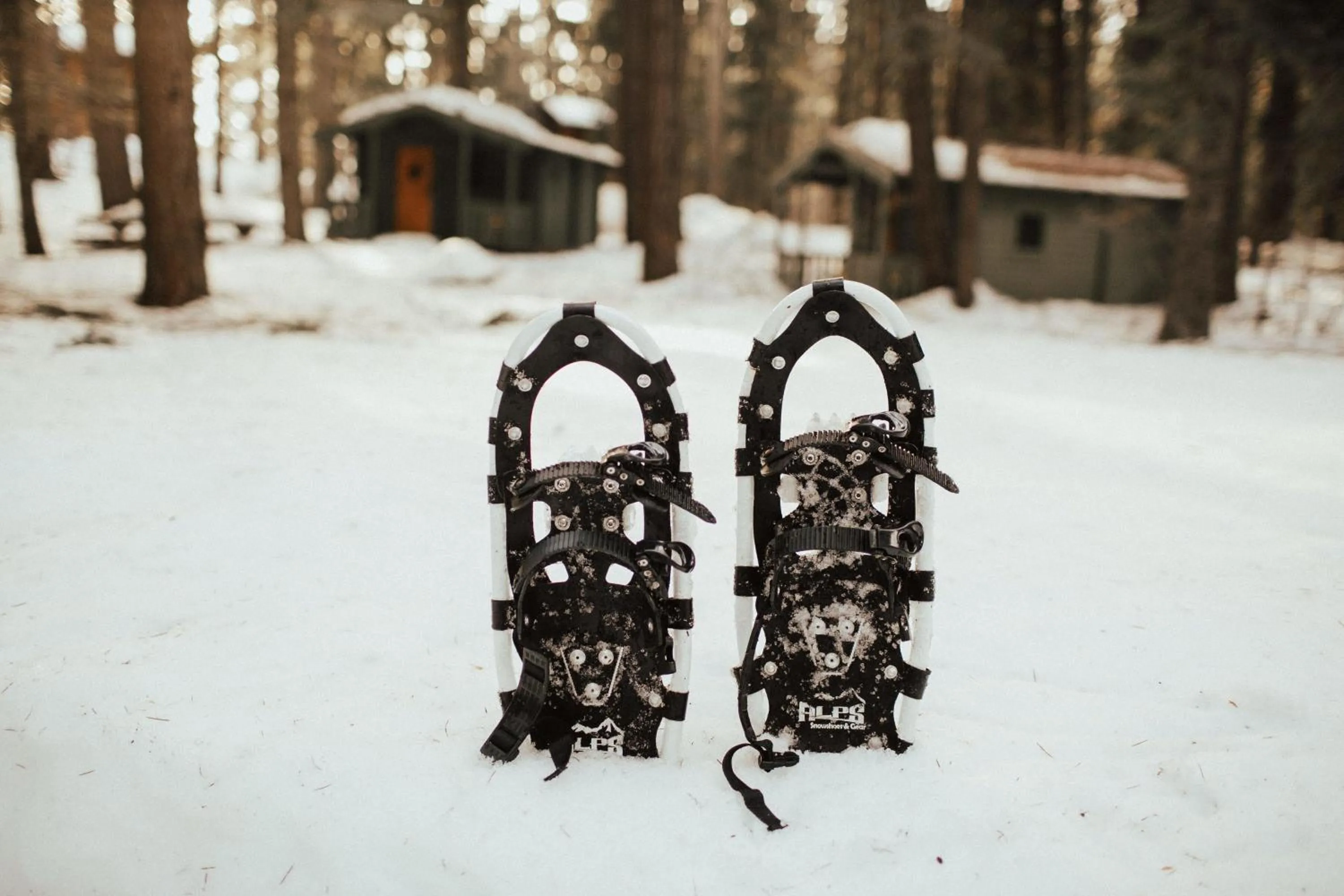 Sports in The Suttle Lodge & Boathouse