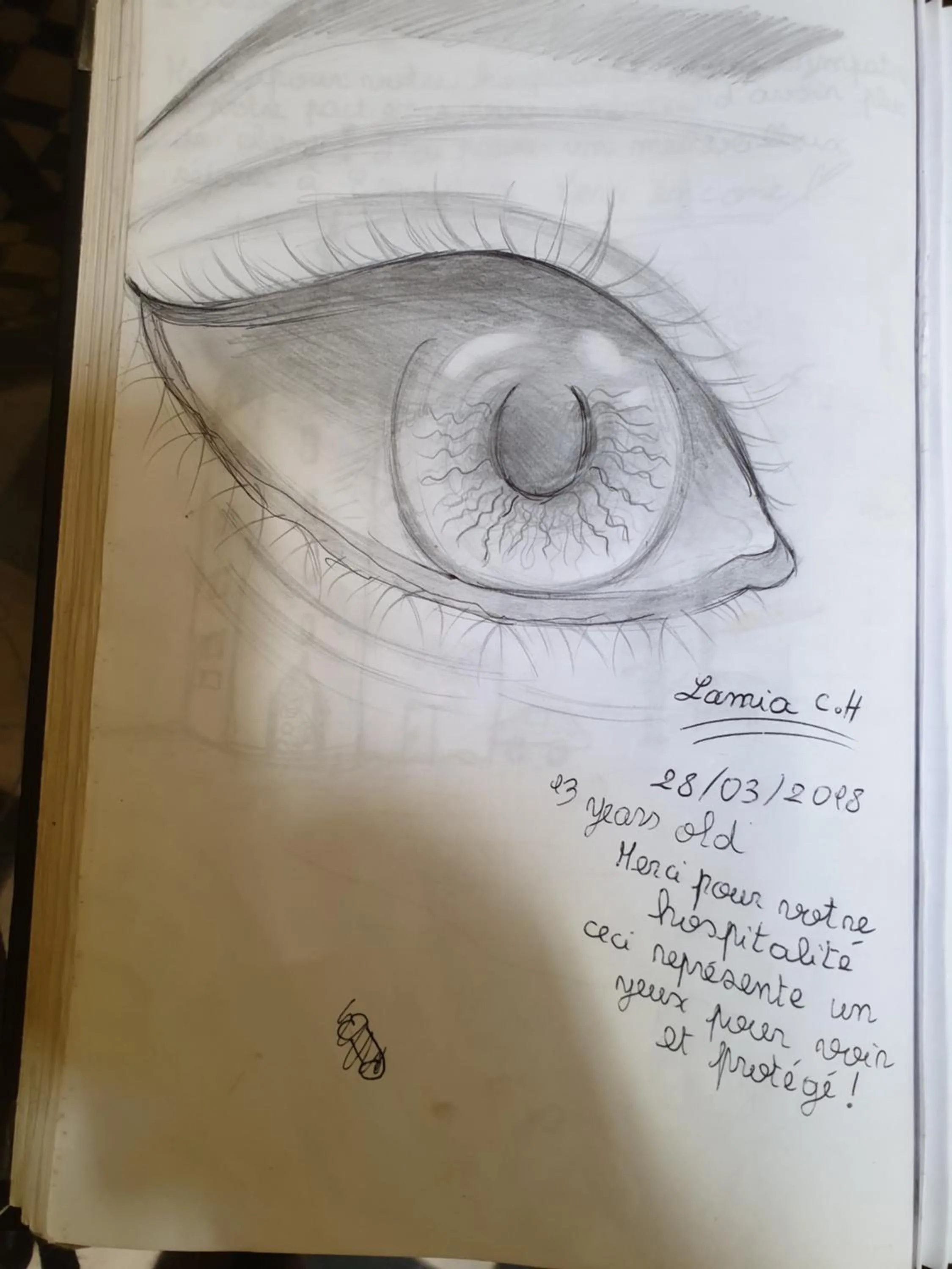 Certificate/Award in Riad Sidi Magdoul