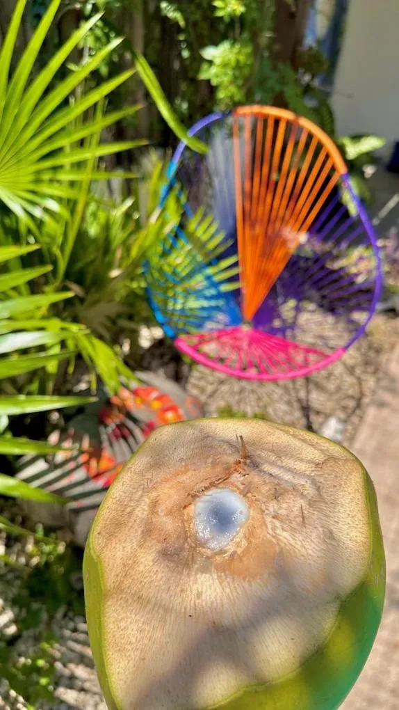 Garden in Hotel Jaiba Mahahual - Adults Only