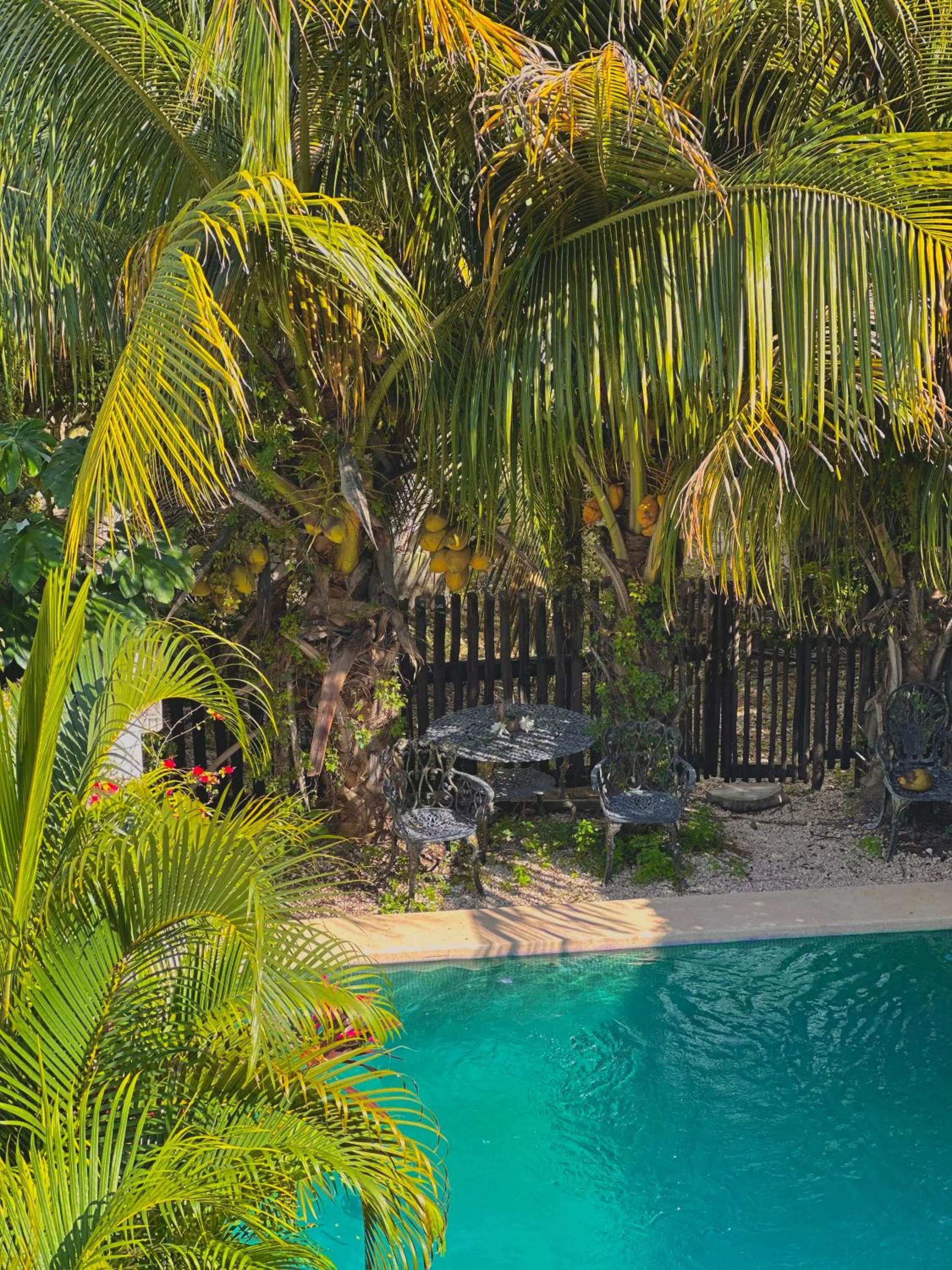 Day in Hotel Jaiba Mahahual - Adults Only