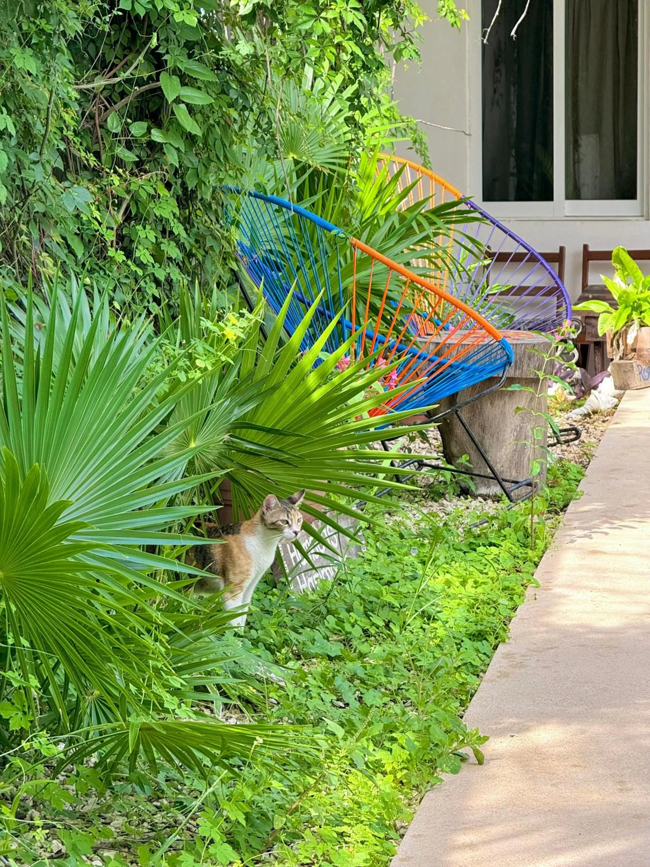 Swimming pool in Hotel Jaiba Mahahual - Adults Only