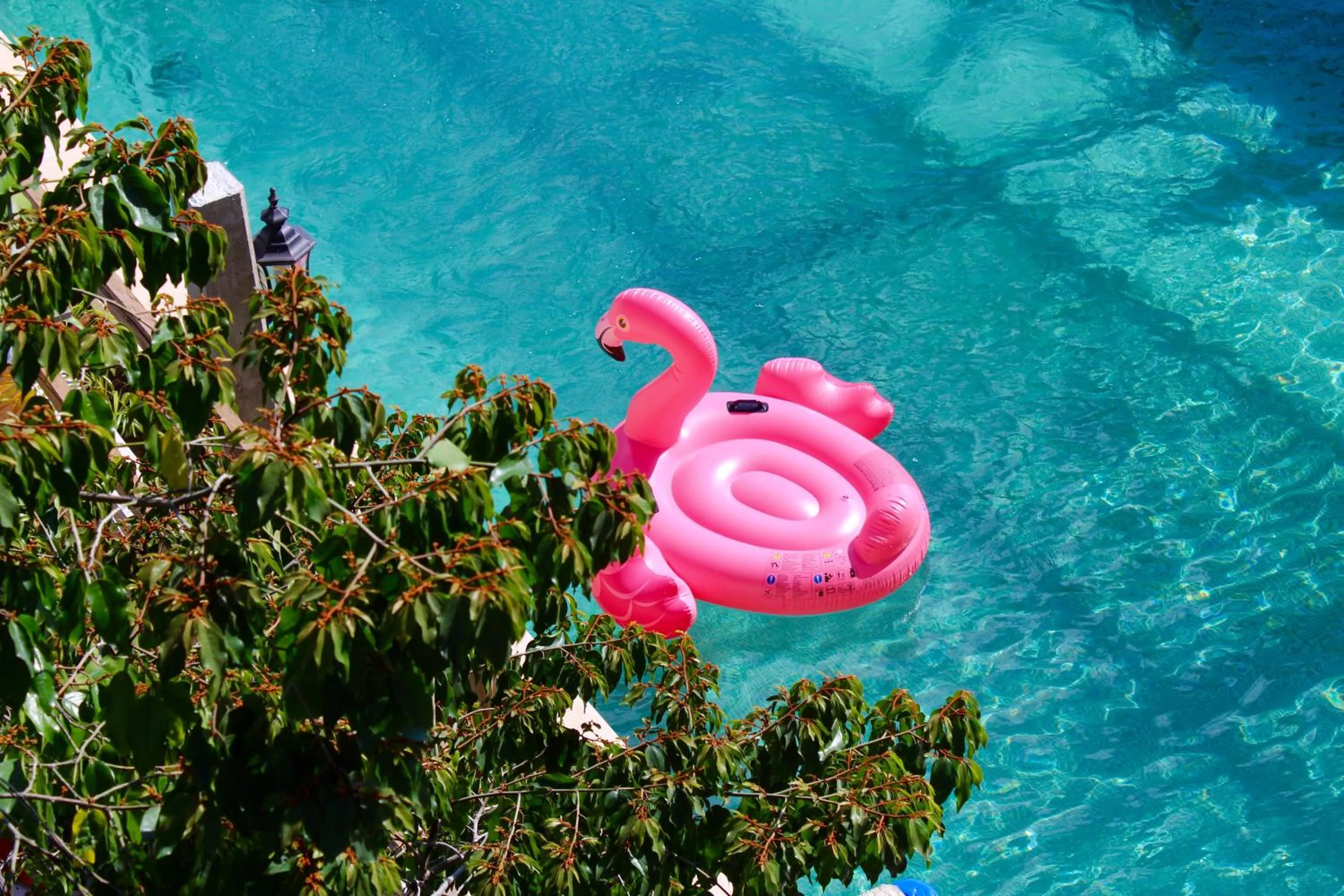 Pool view in Hotel Jaiba Mahahual - Adults Only