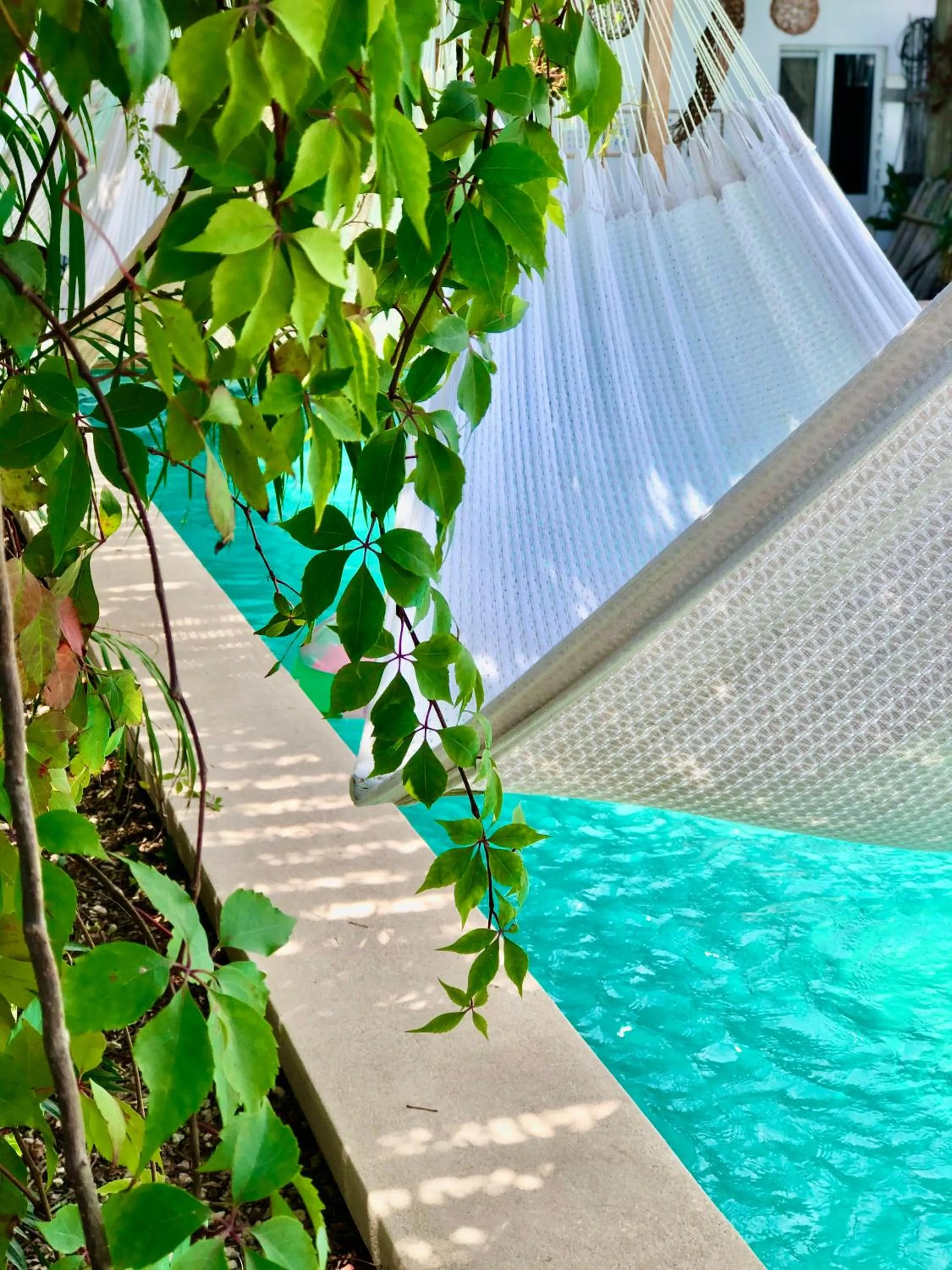 Garden in Hotel Jaiba Mahahual - Adults Only