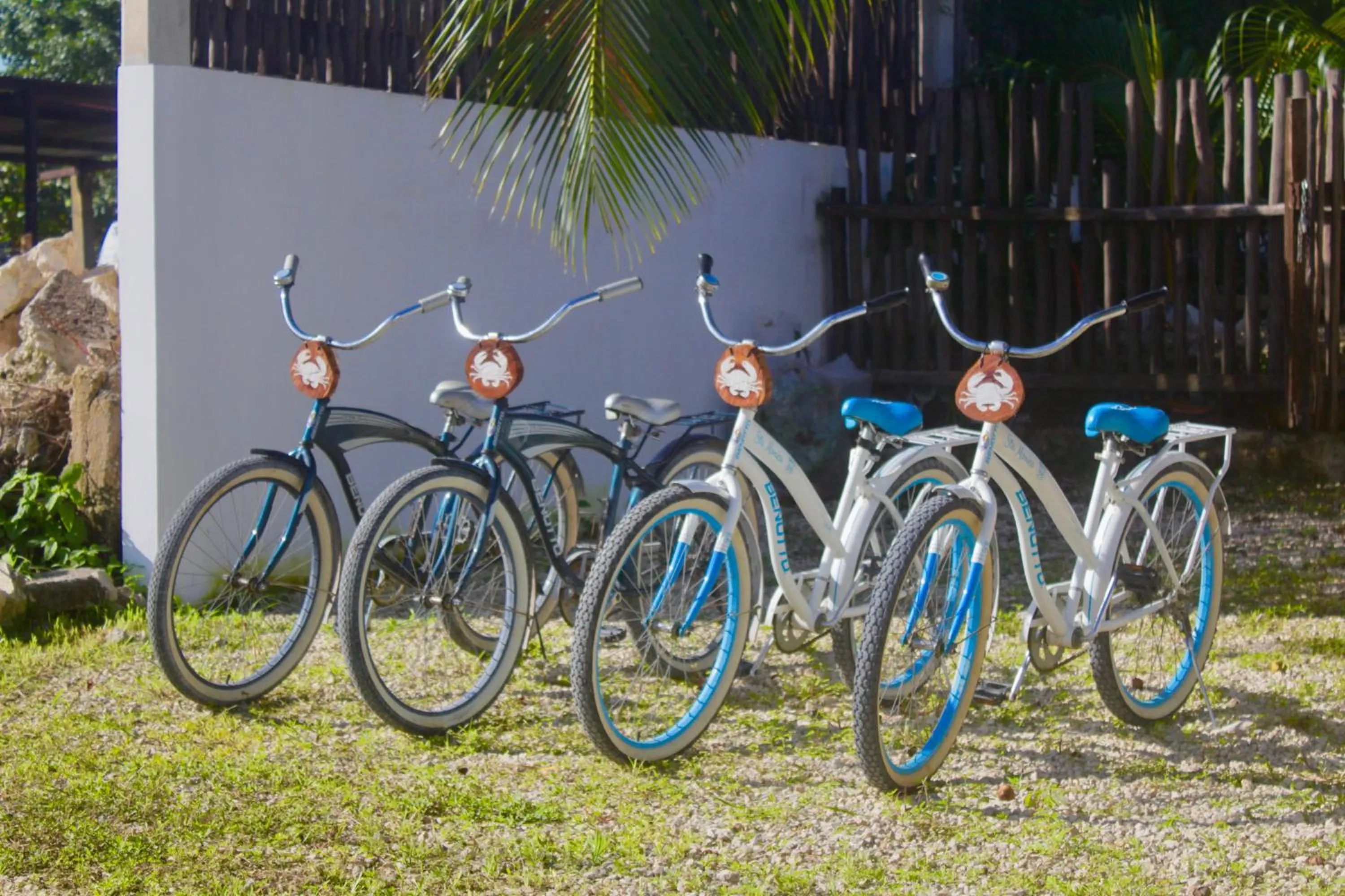 Cycling in Hotel Jaiba Mahahual - Adults Only