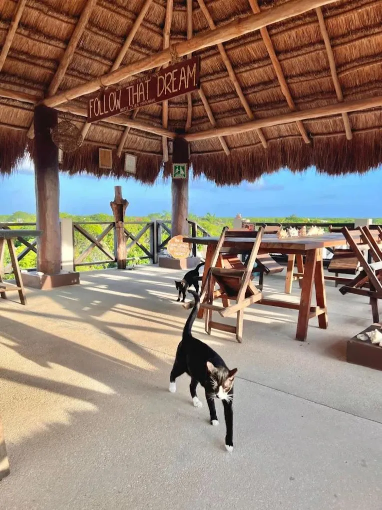 Day in Hotel Jaiba Mahahual - Adults Only