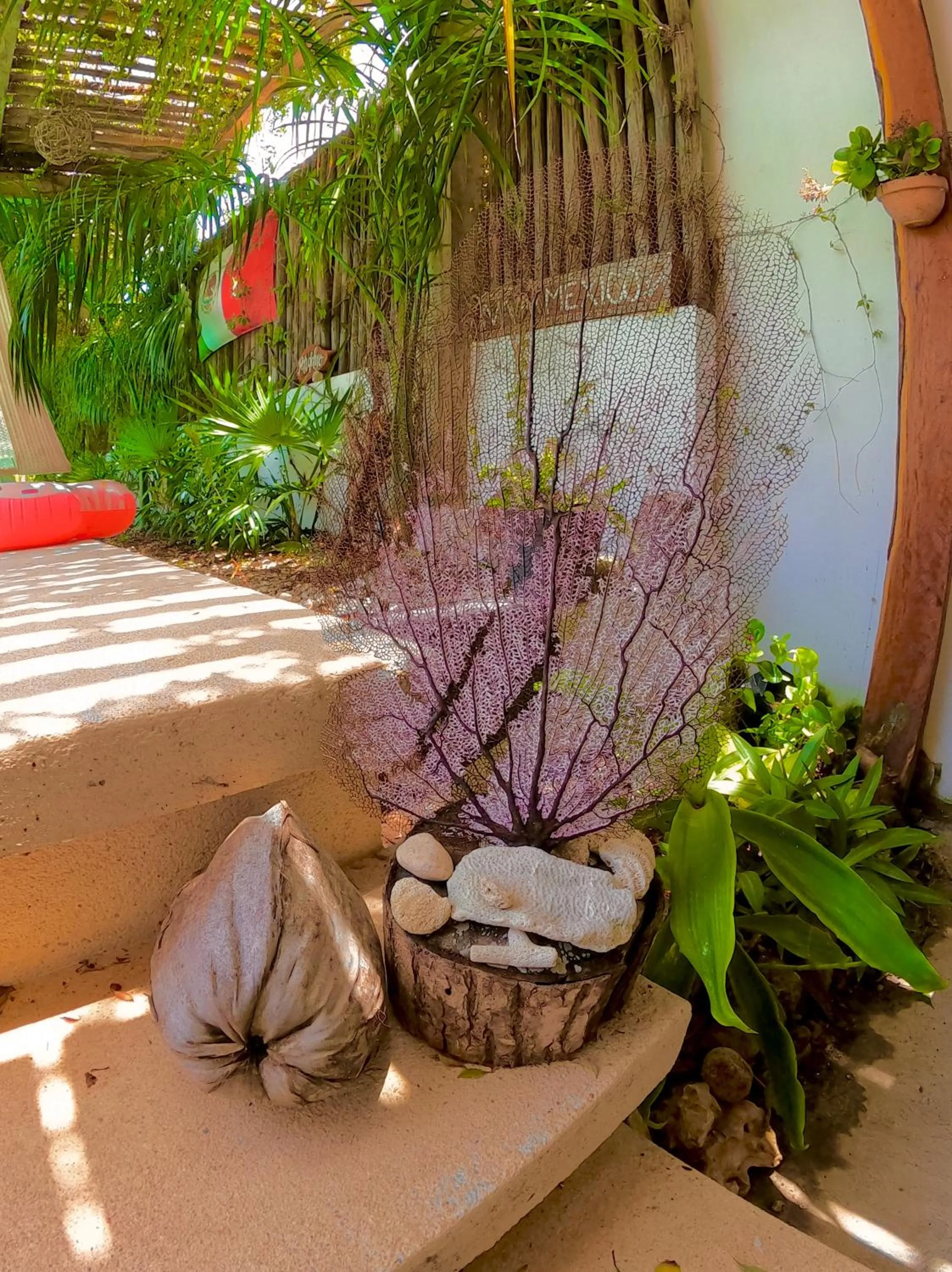 Garden in Hotel Jaiba Mahahual - Adults Only