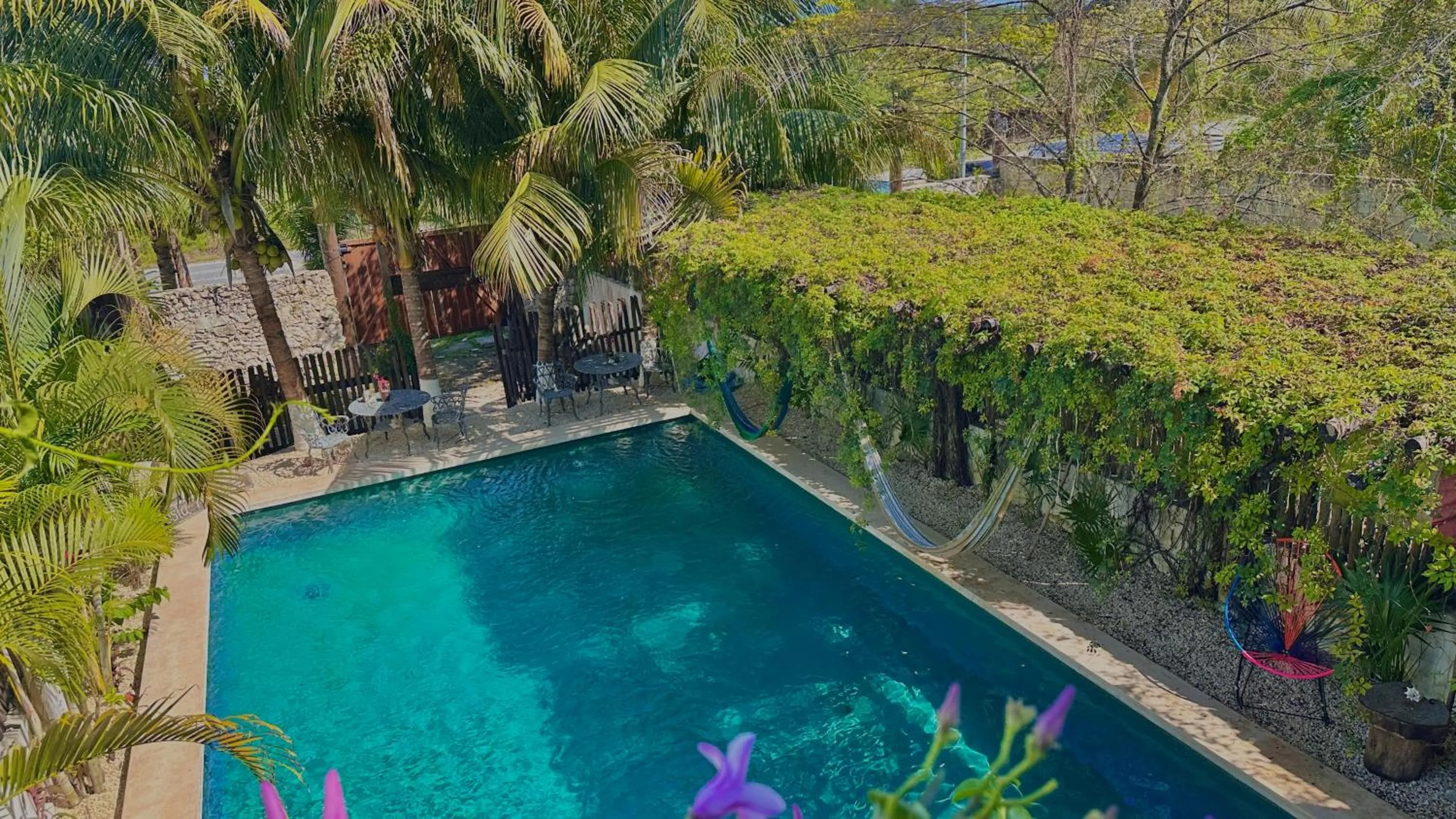 Swimming pool in Hotel Jaiba Mahahual - Adults Only