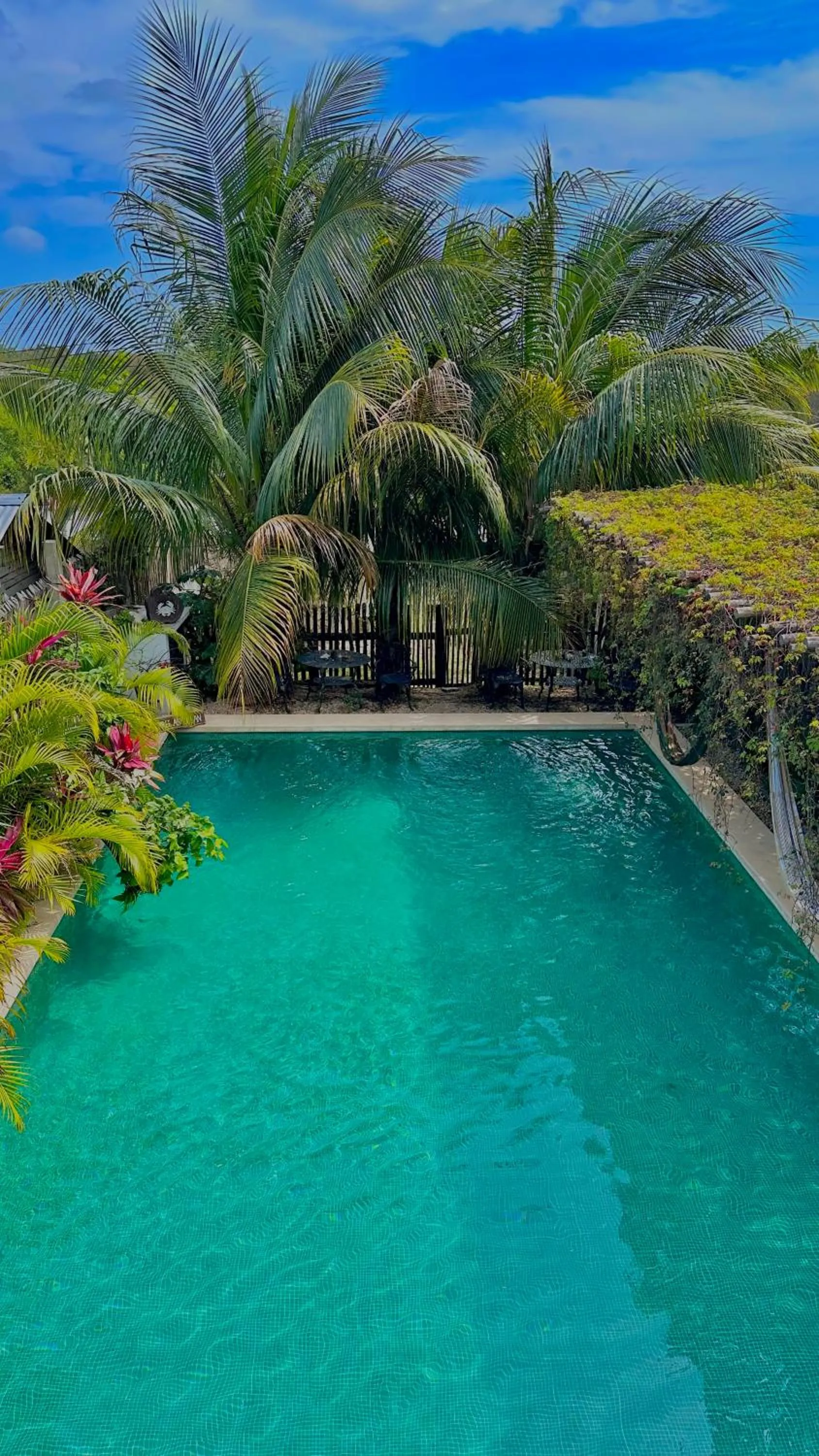 Day in Hotel Jaiba Mahahual - Adults Only