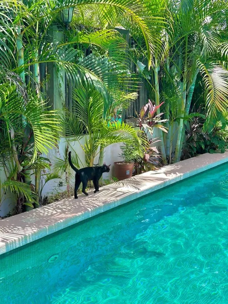 Day in Hotel Jaiba Mahahual - Adults Only