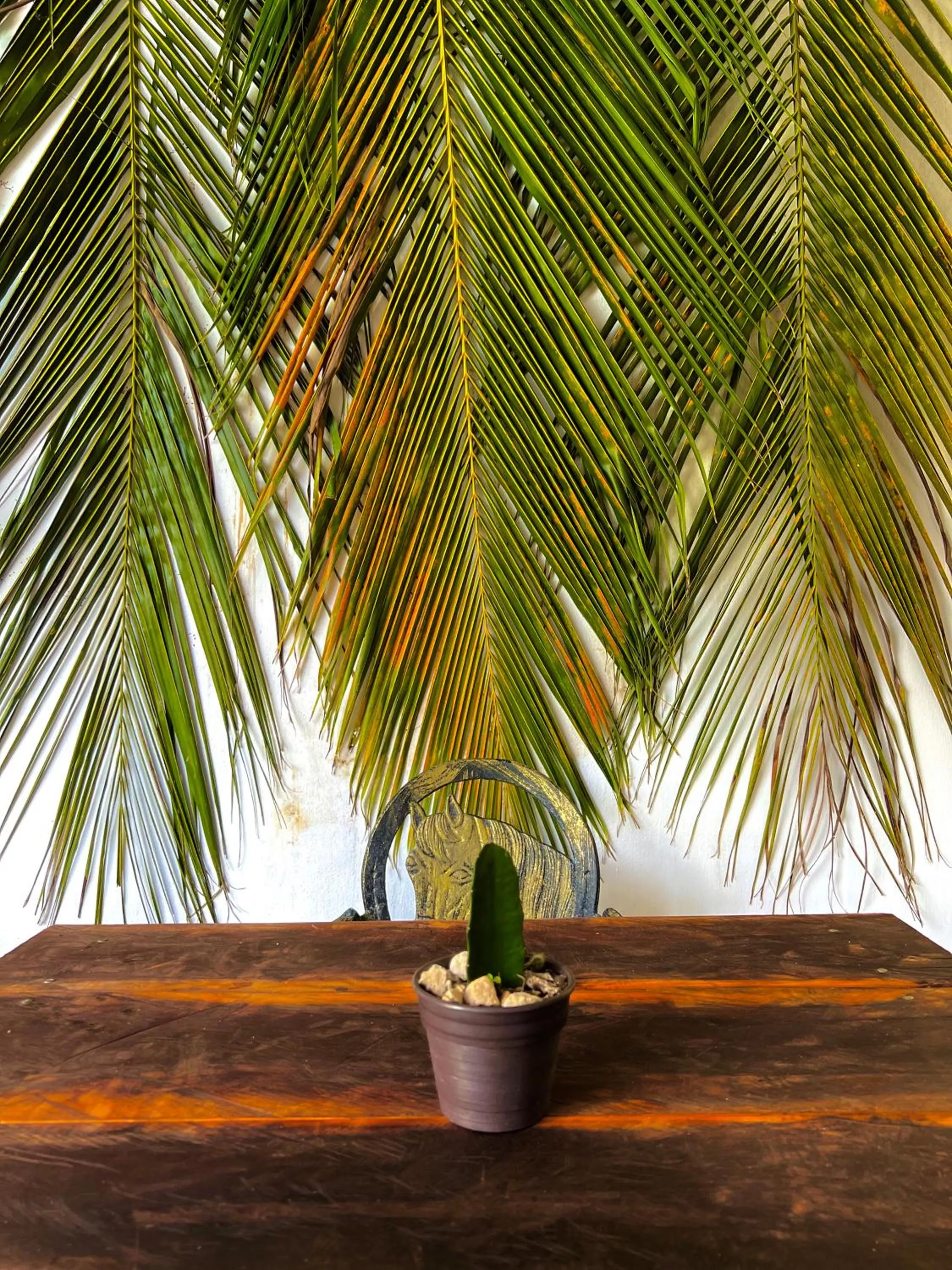 Balcony/Terrace in Hotel Jaiba Mahahual - Adults Only