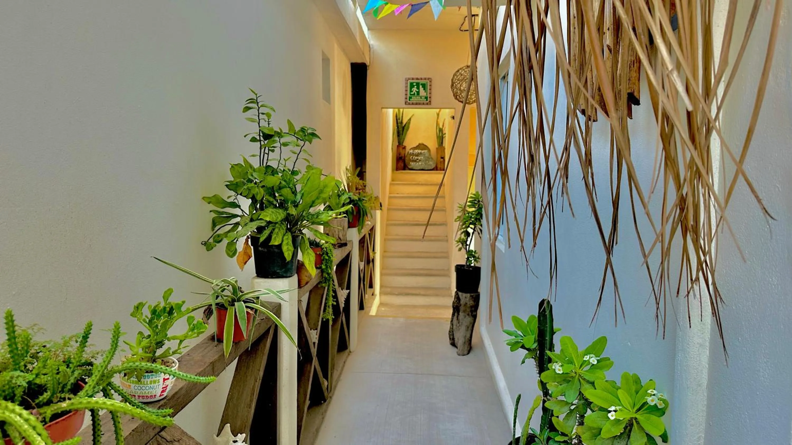 Property building in Hotel Jaiba Mahahual - Adults Only